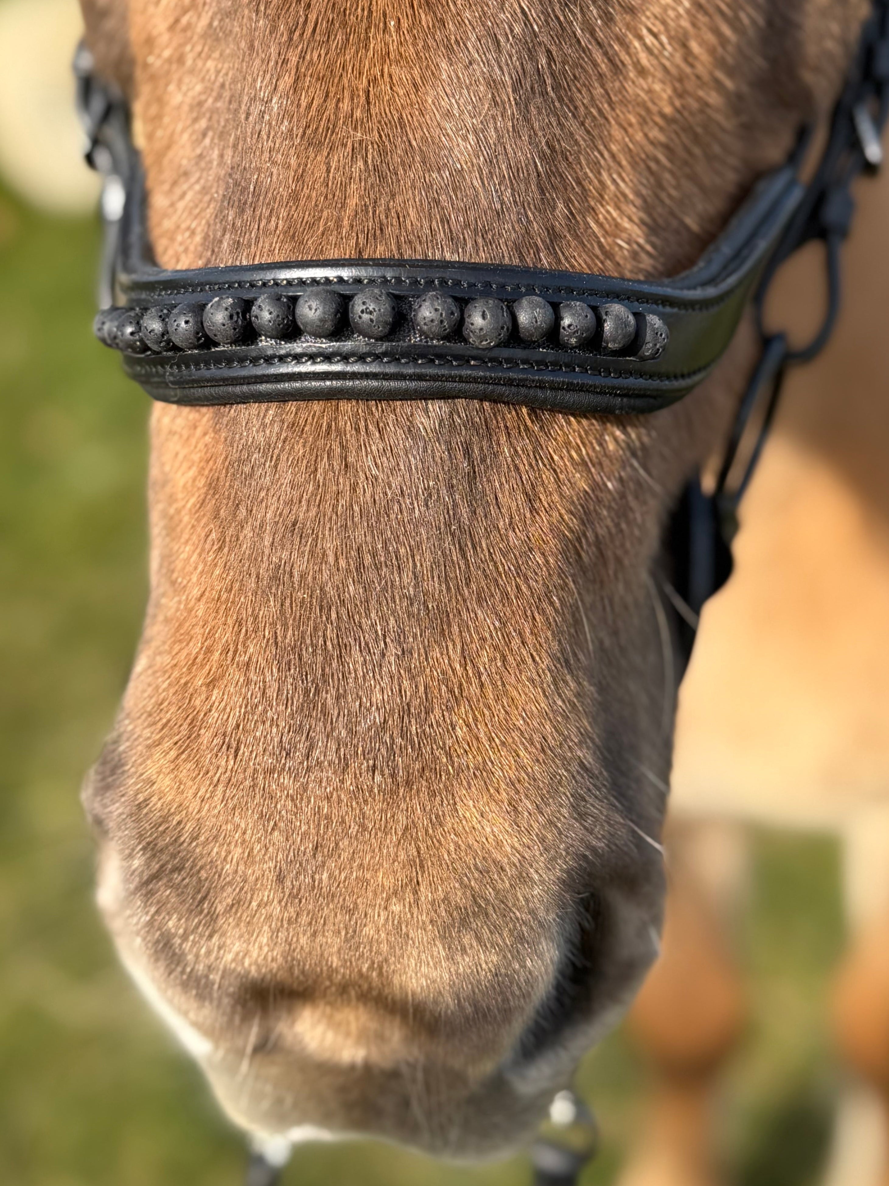PH deluxe næserem engelsk anatomic black lava - Aríus Icehorse Line