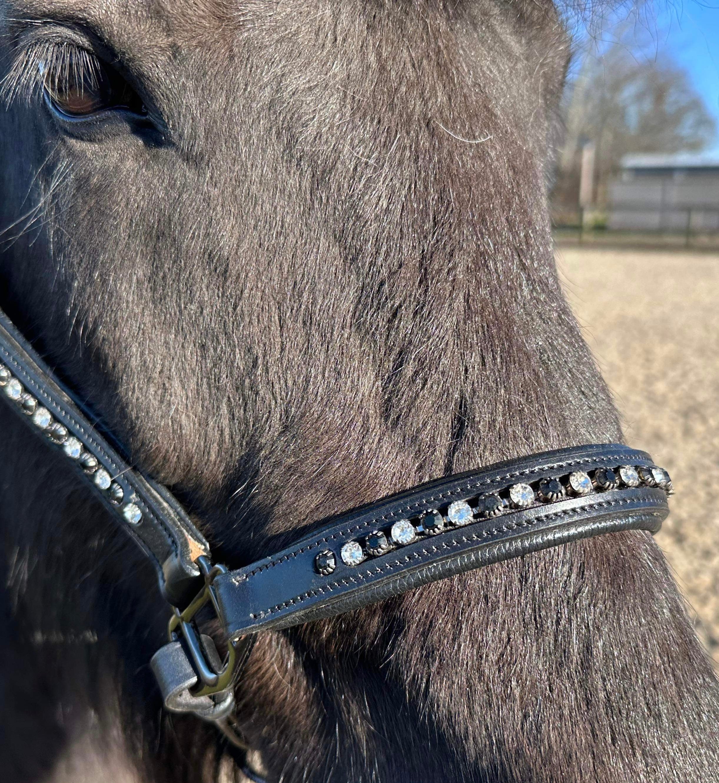 PH grime DIAMOND Black&white - Aríus Icehorse Line