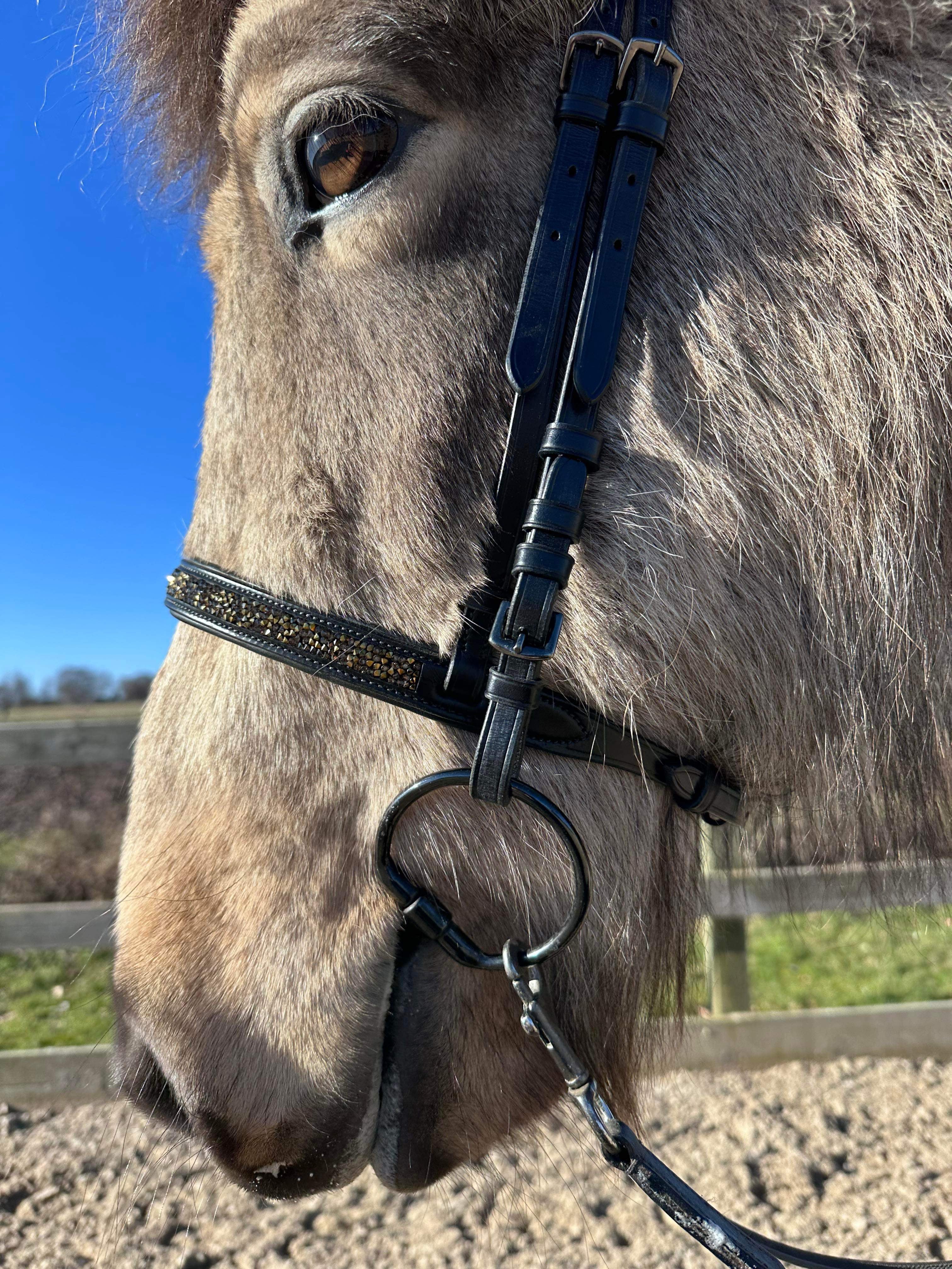 PH deluxe engelsk næserem rockcrystal gold - Aríus Icehorse Line