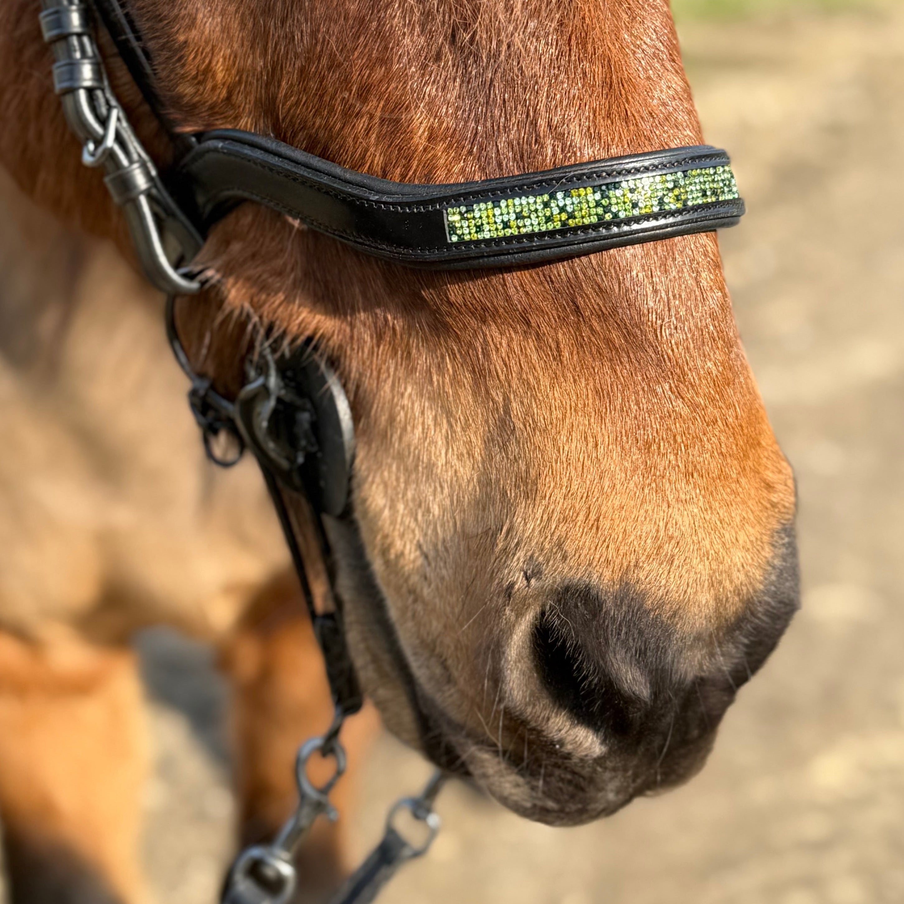 PH deluxe næserem engelsk anatomic green magic - Aríus Icehorse Line