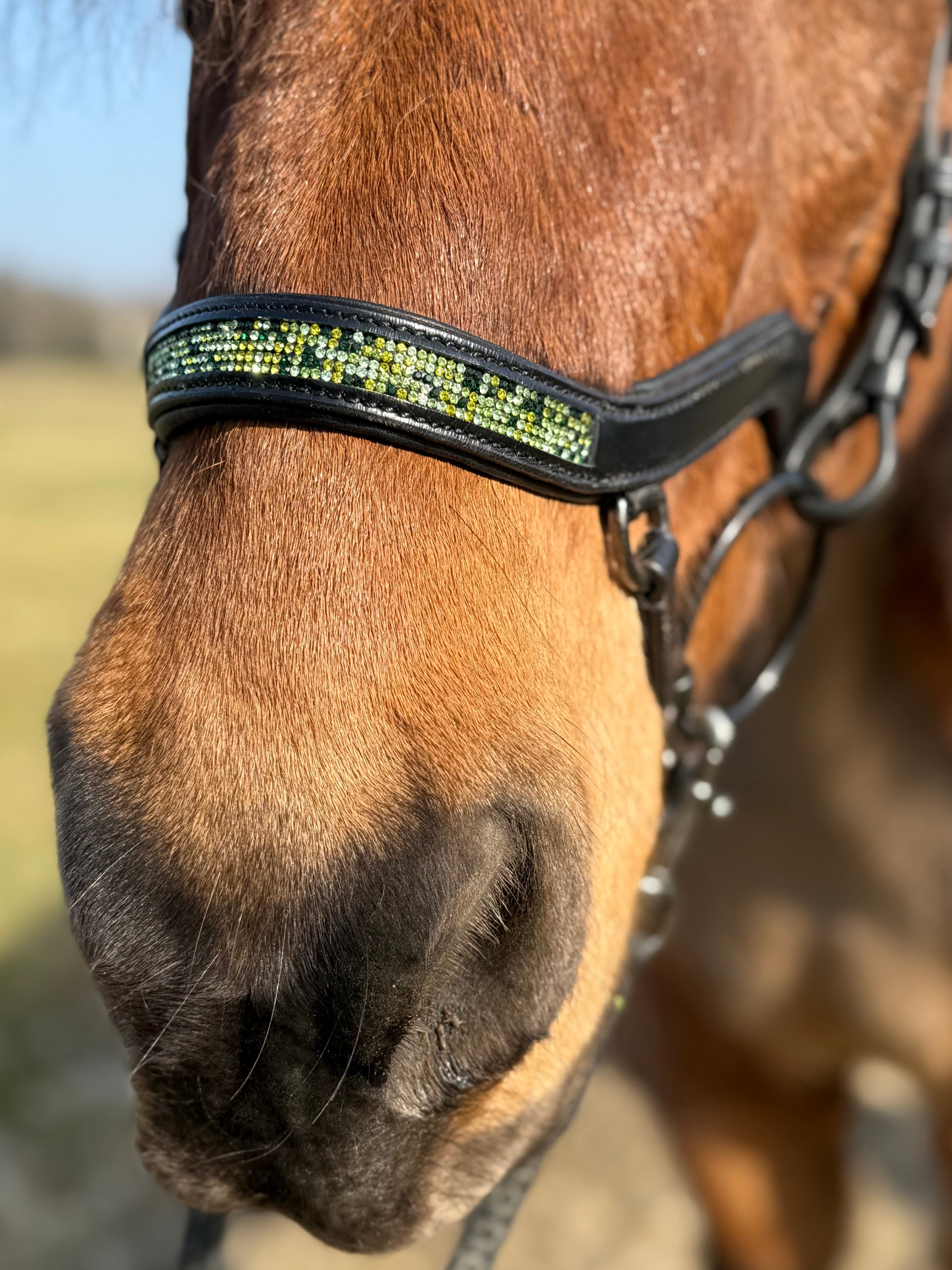 PH deluxe næsebånd "Anatomic" buckle green magic - Aríus Icehorse Line