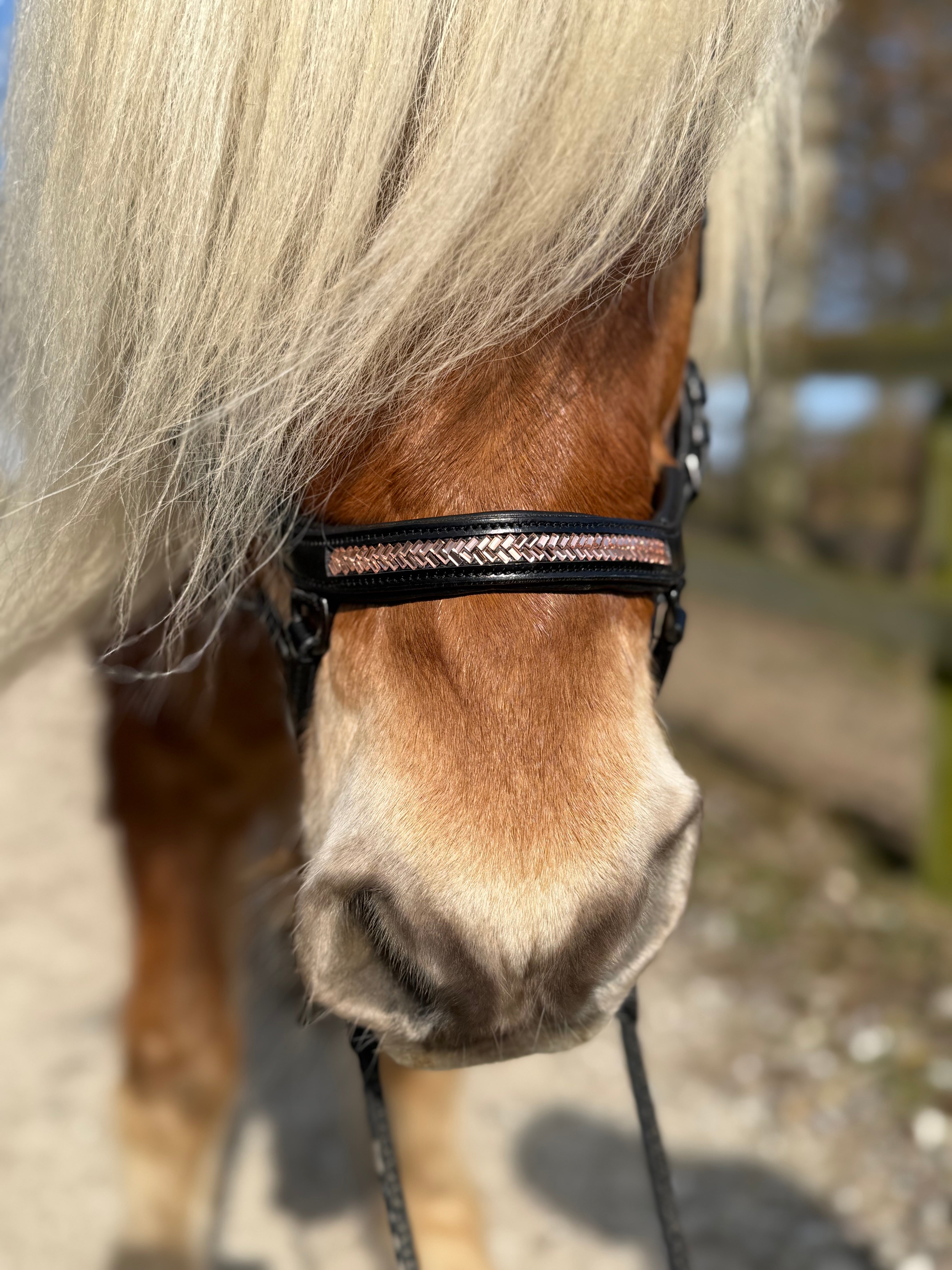 PH deluxe næsebånd "Anatomic" buckle arrow rosegold - Aríus Icehorse Line