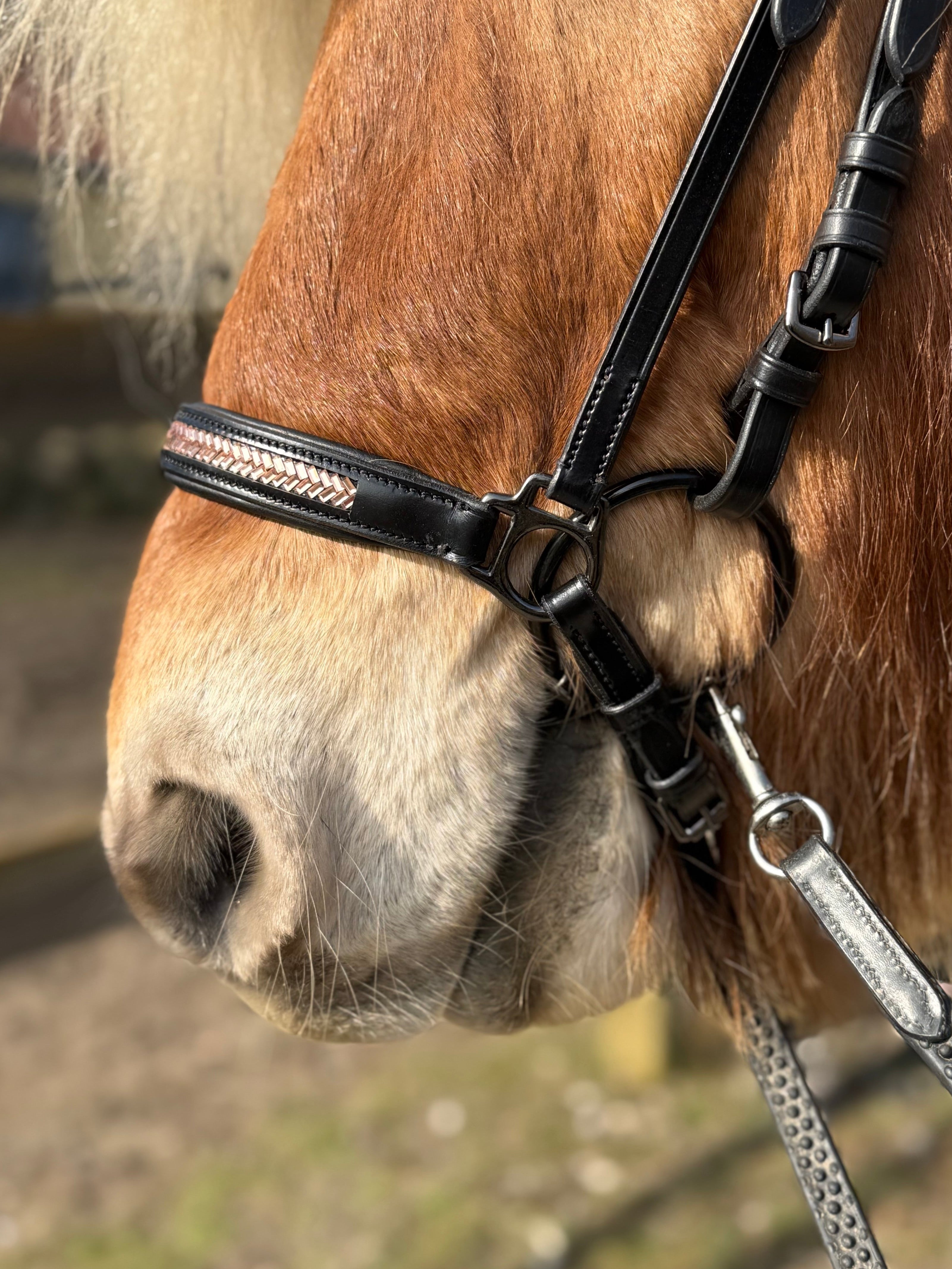 PH deluxe hannoveransk næserem arrow rosegold - Aríus Icehorse Line