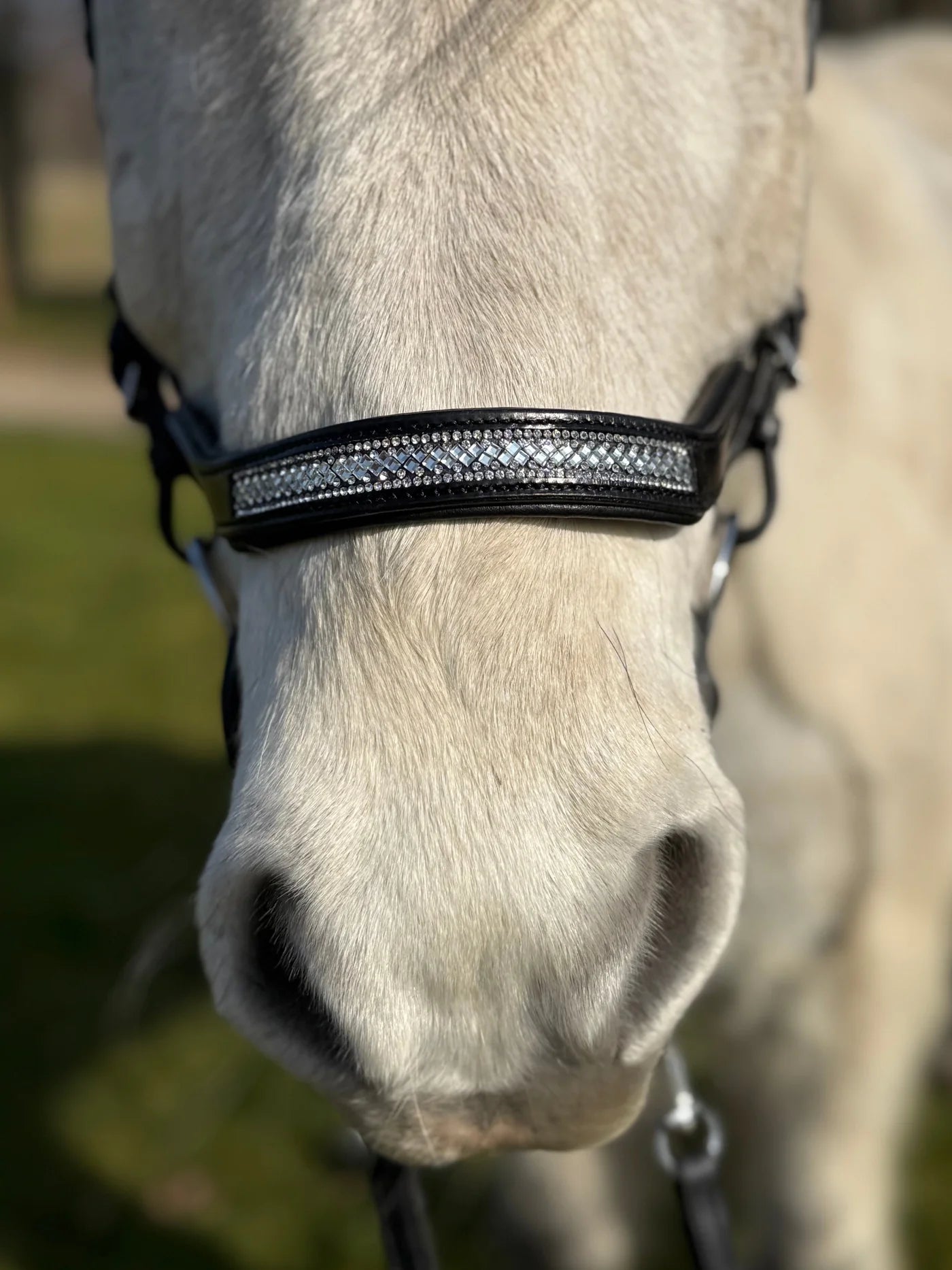PH deluxe næserem engelsk anatomic glitter - Aríus Icehorse Line