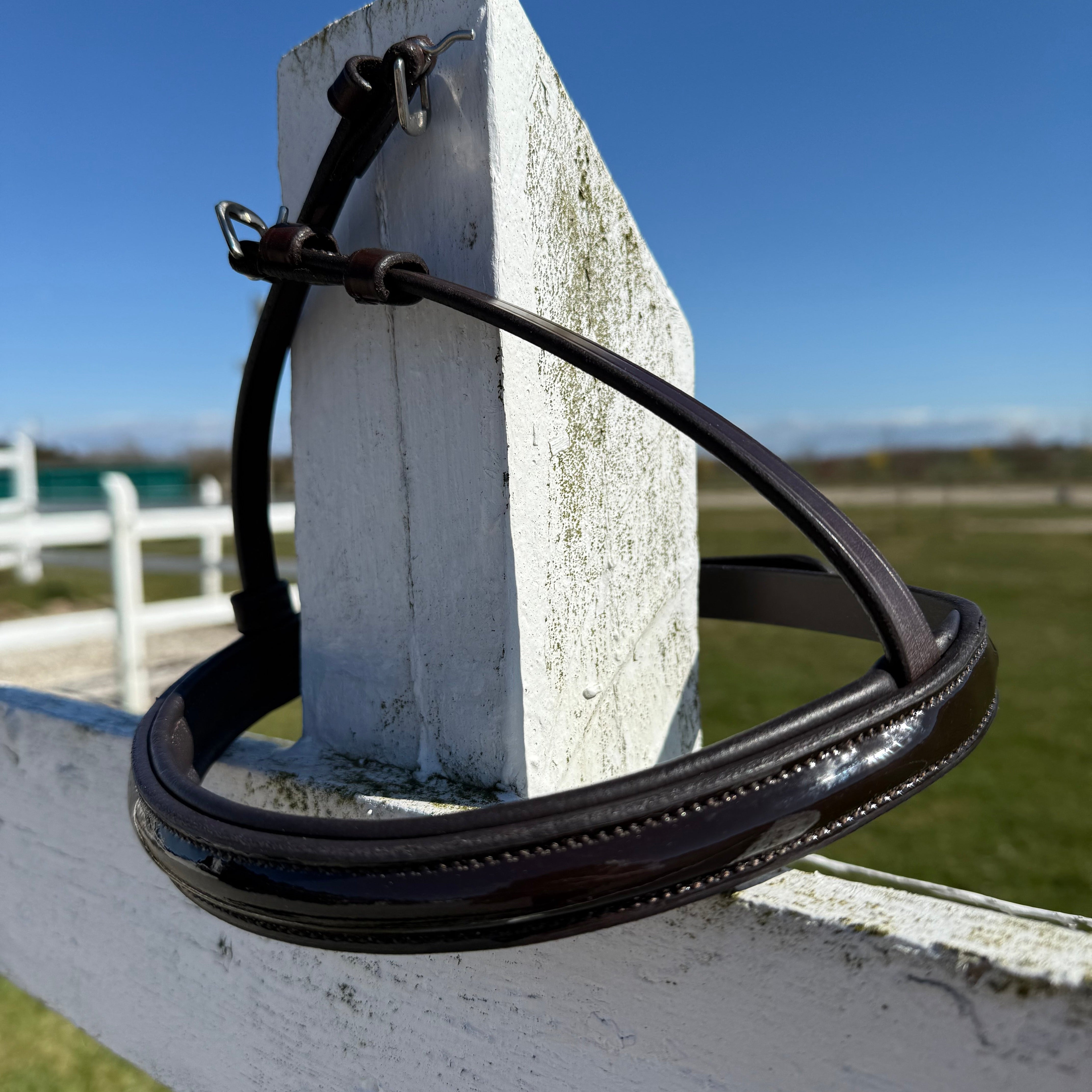 PH deluxe næserem engelsk shine BROWN - Aríus Icehorse Line