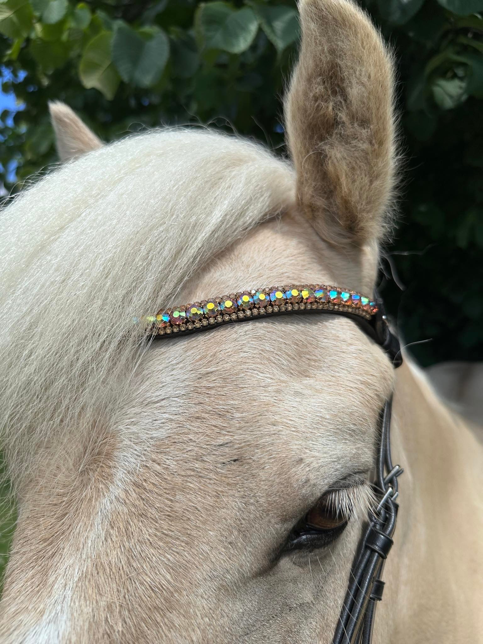 PH deluxe pandebånd diamond 3 rows golden rainbow - Aríus Icehorse Line