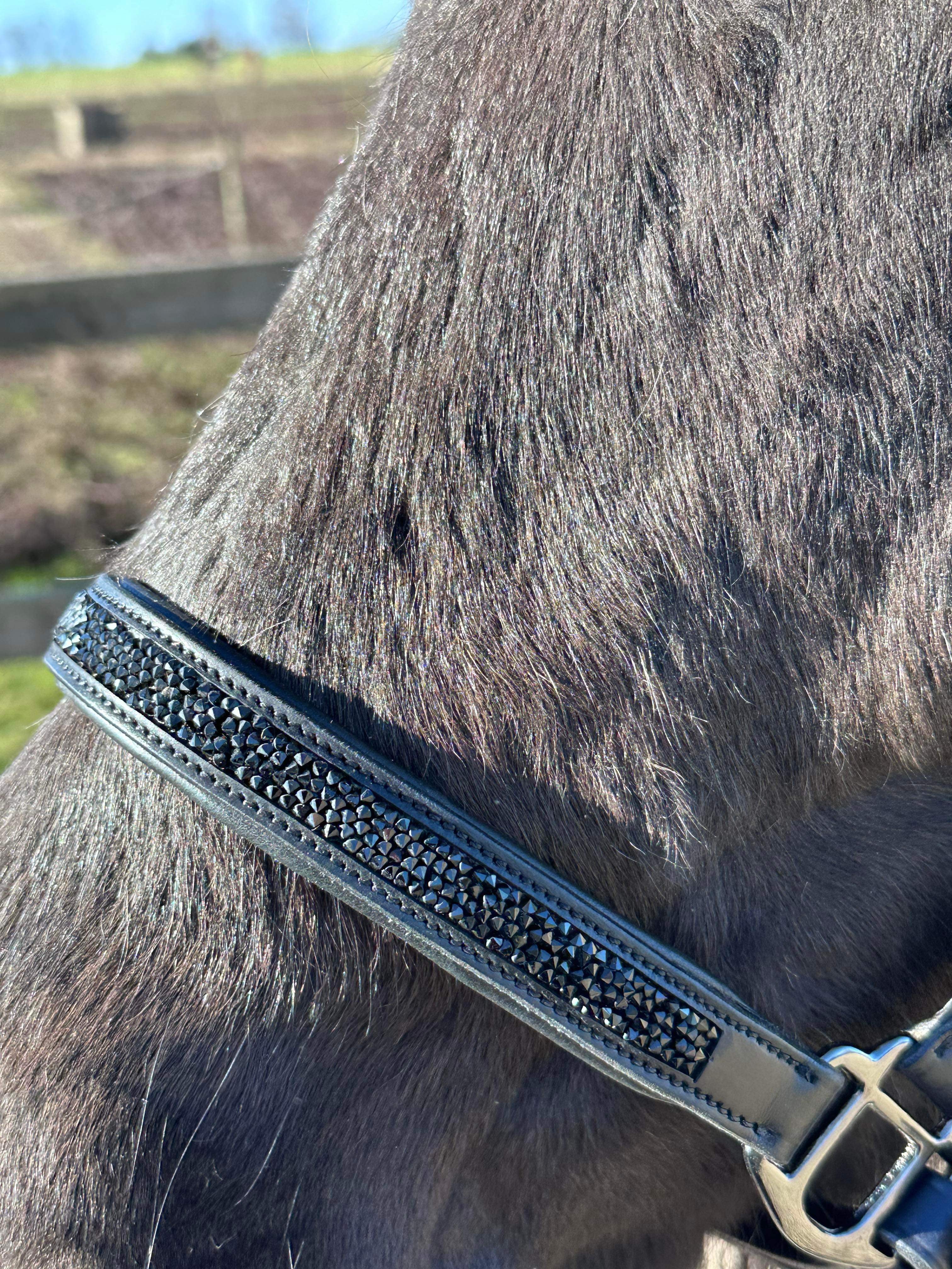 PH grime rockcrystal black - Aríus Icehorse Line