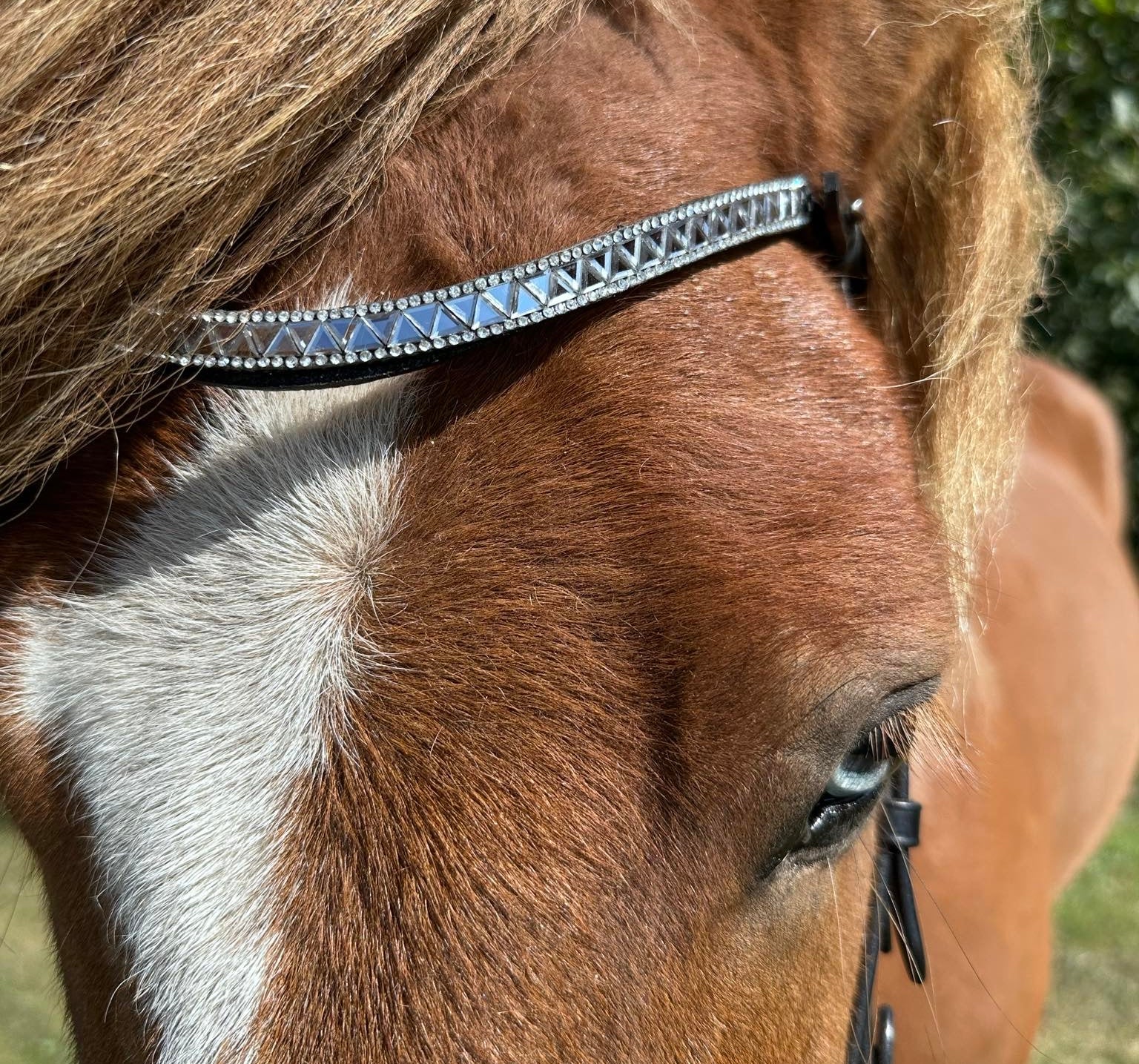 PH deluxe PANDEBÅND diamond mirror silver - Aríus Icehorse Line