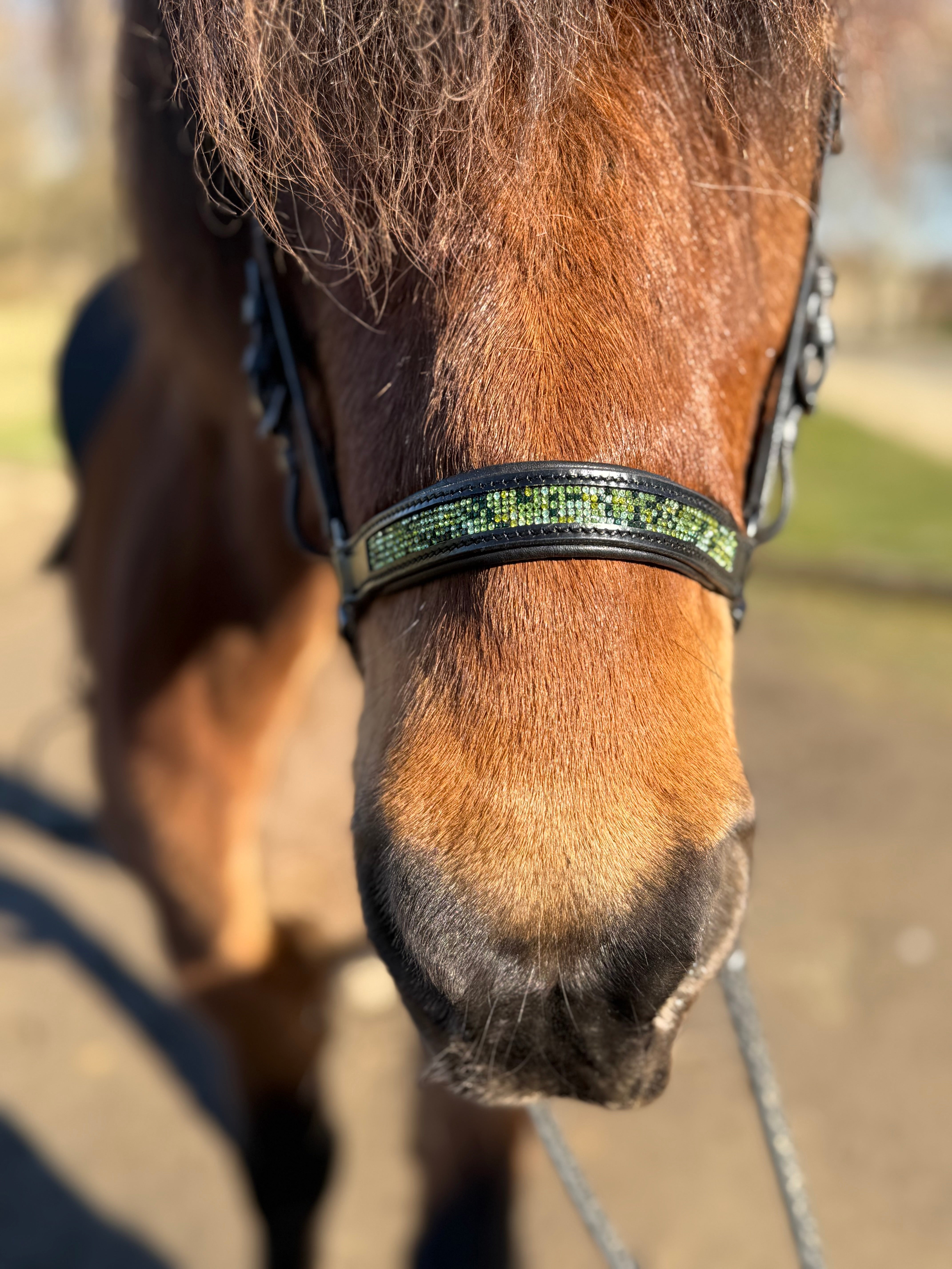 PH deluxe hannoveransk næserem green magic - Aríus Icehorse Line