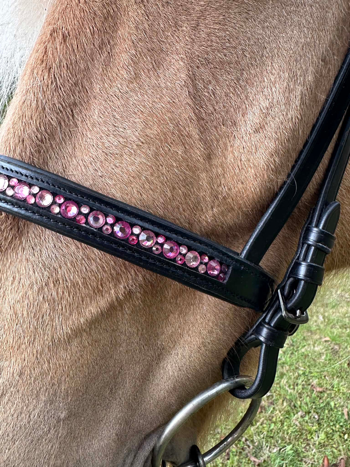 PH deluxe engelsk næserem moonstone pink