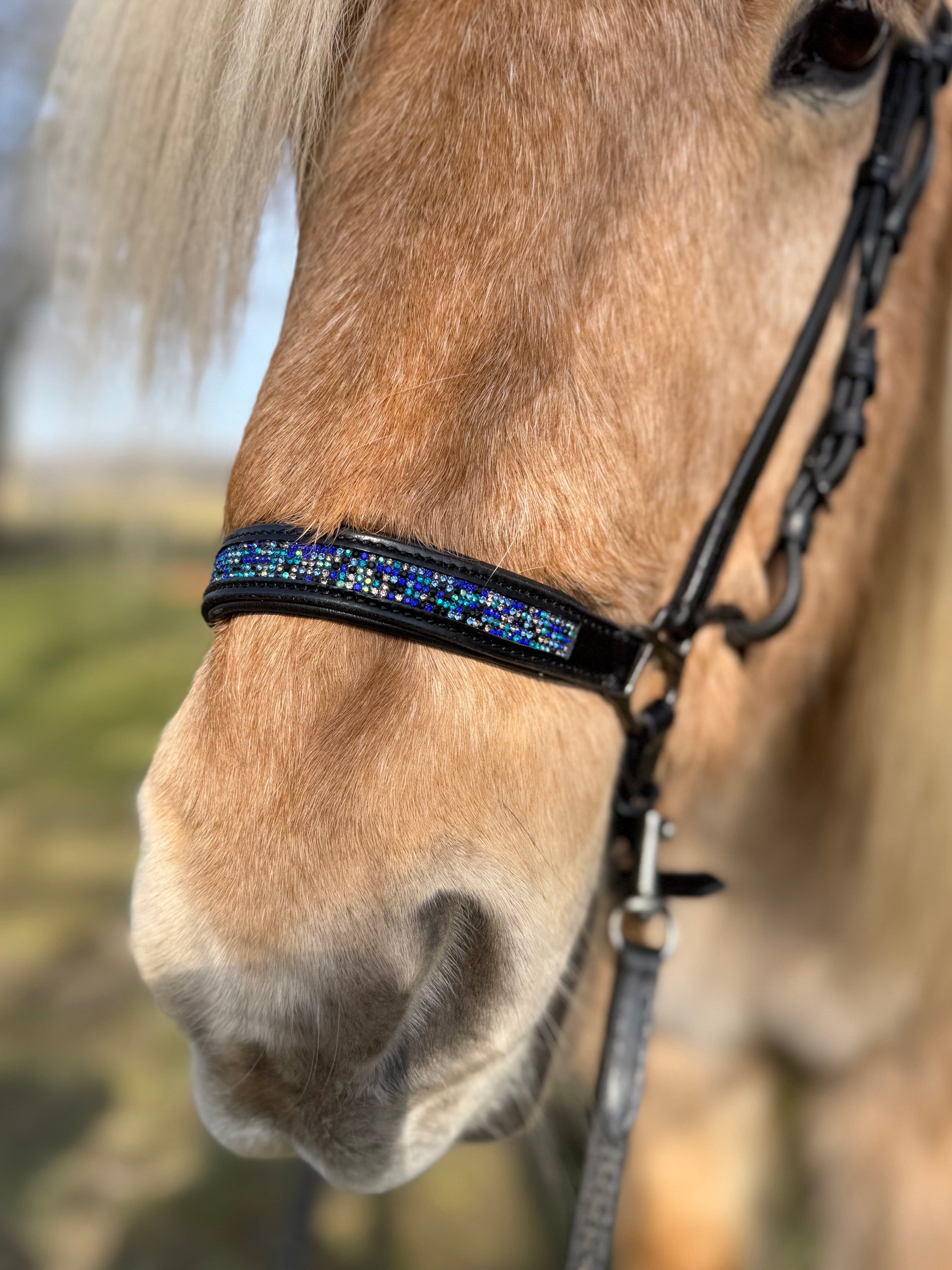 PH deluxe hannoveransk næserem blue magic - Aríus Icehorse Line