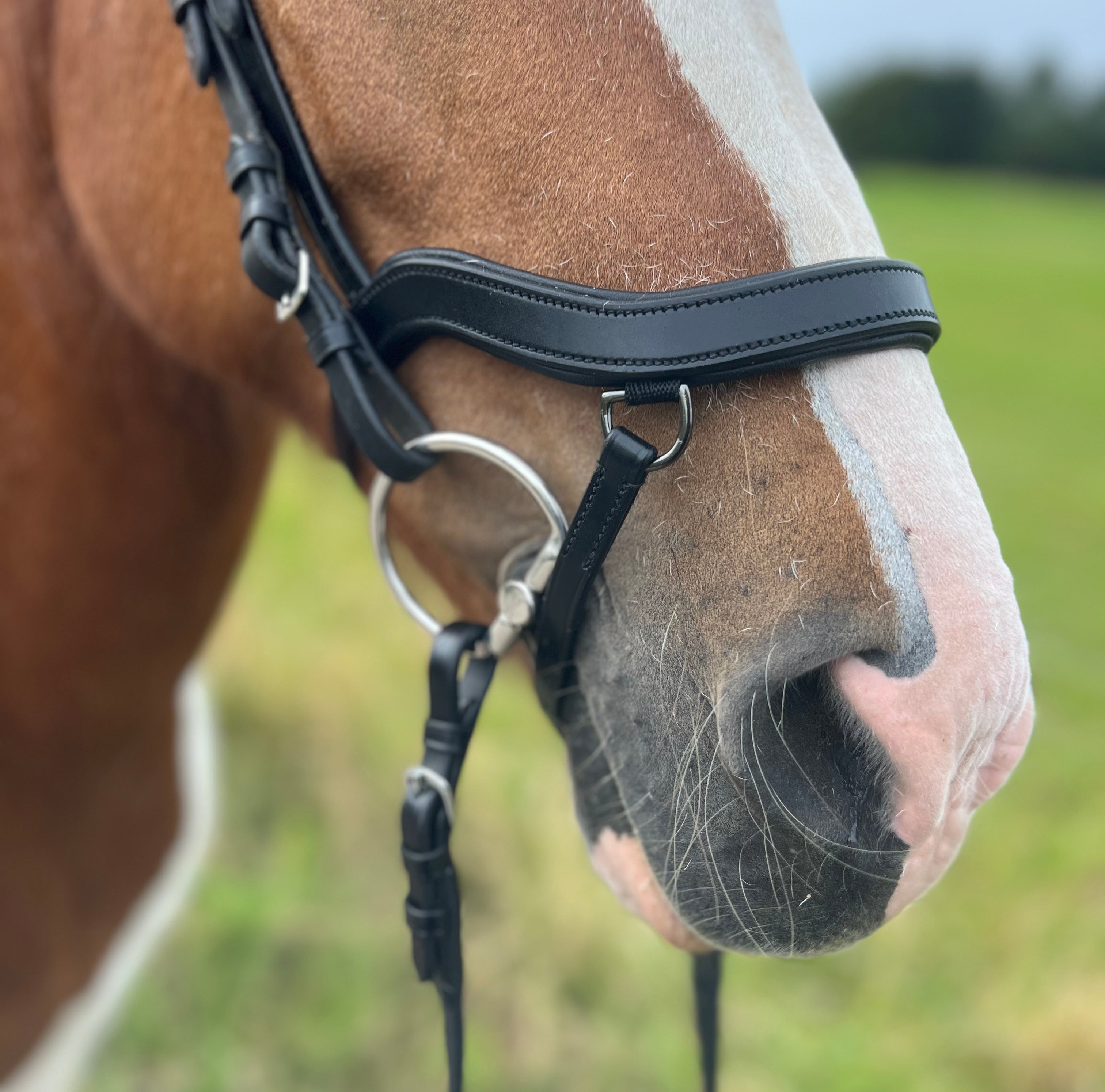 PH deluxe næsebånd soft "Anatomic" buckle - Aríus Icehorse Line