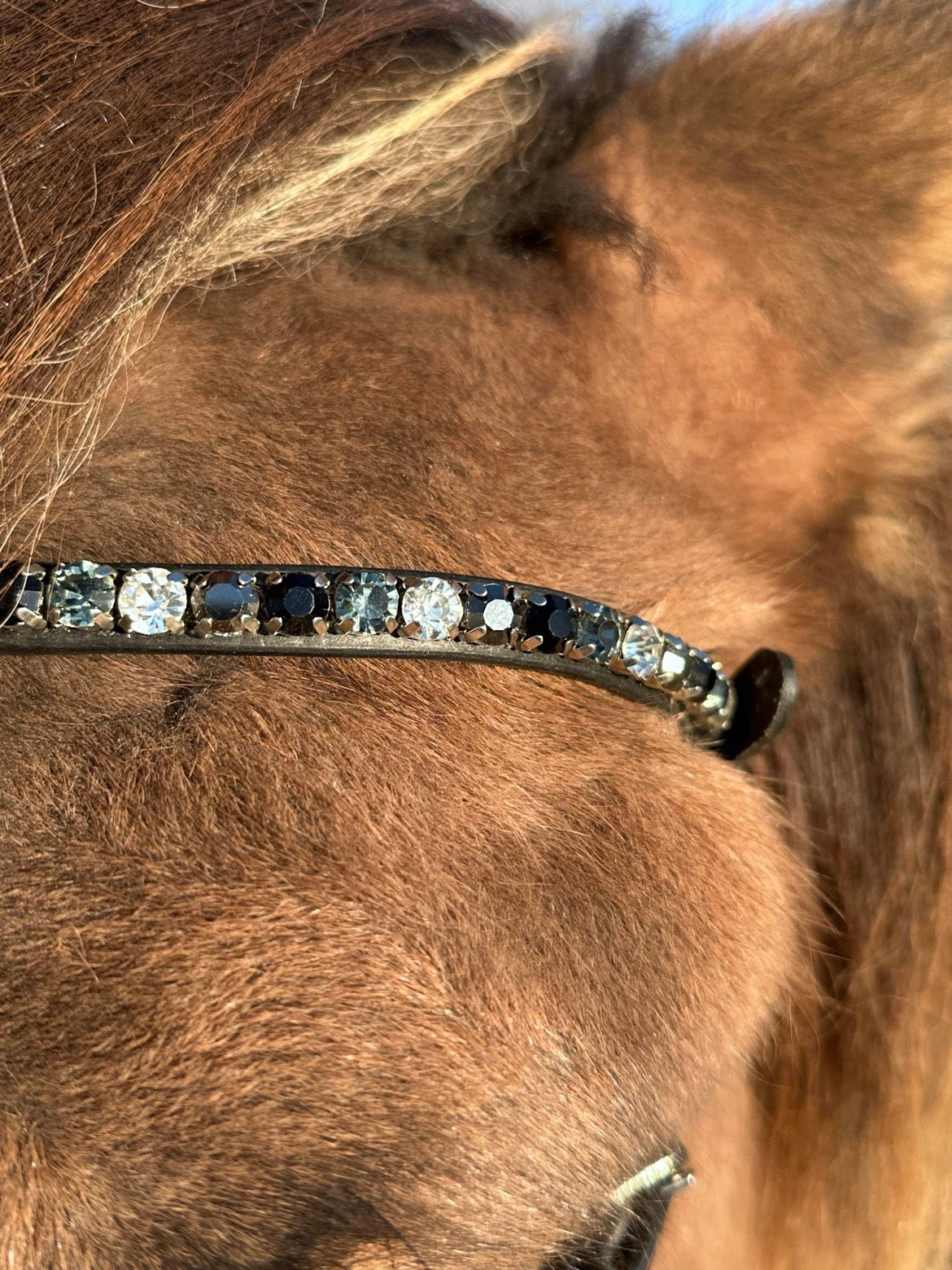 PH deluxe pandebånd “DIAMOND fine” grey - Aríus Icehorse Line
