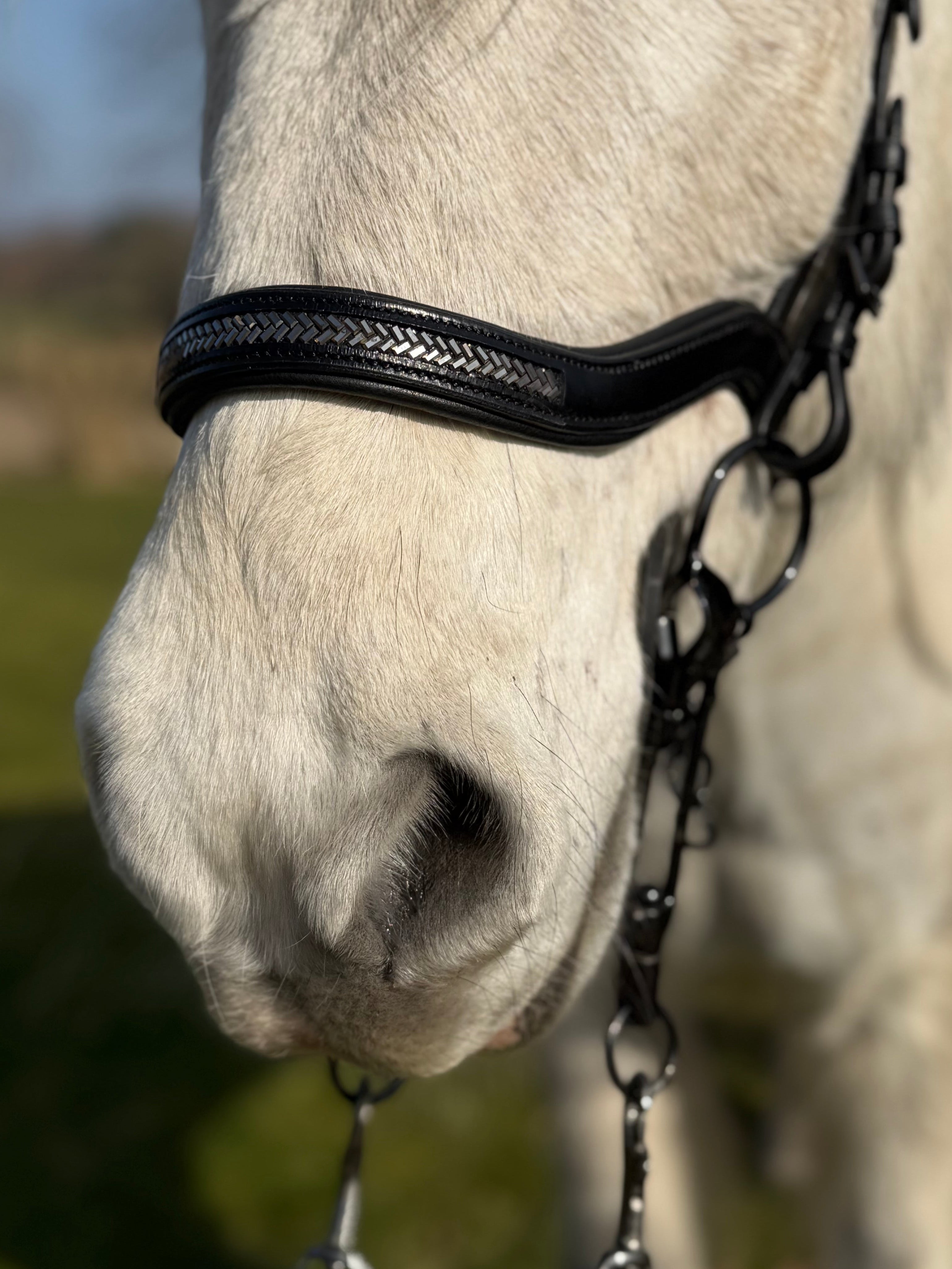 PH deluxe næserem engelsk anatomic arrow dark grey - Aríus Icehorse Line