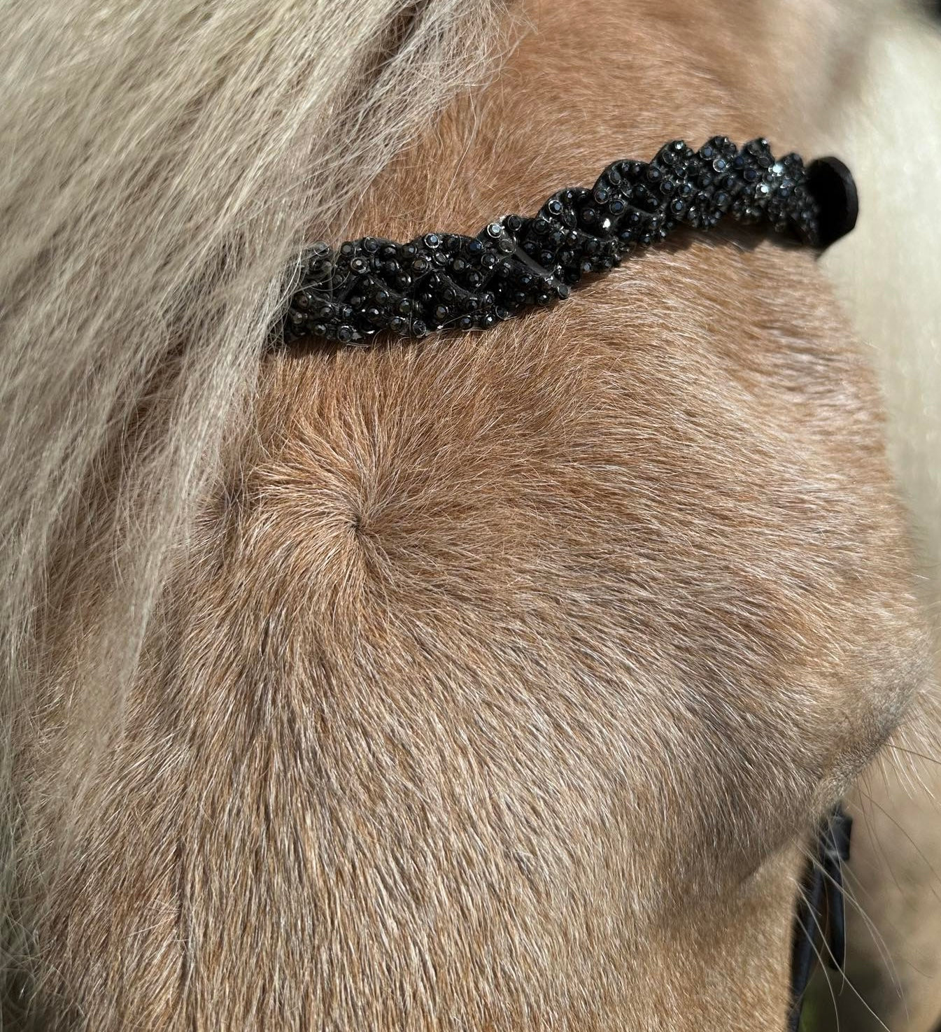 PH deluxe pandebånd diamond braid black - Aríus Icehorse Line