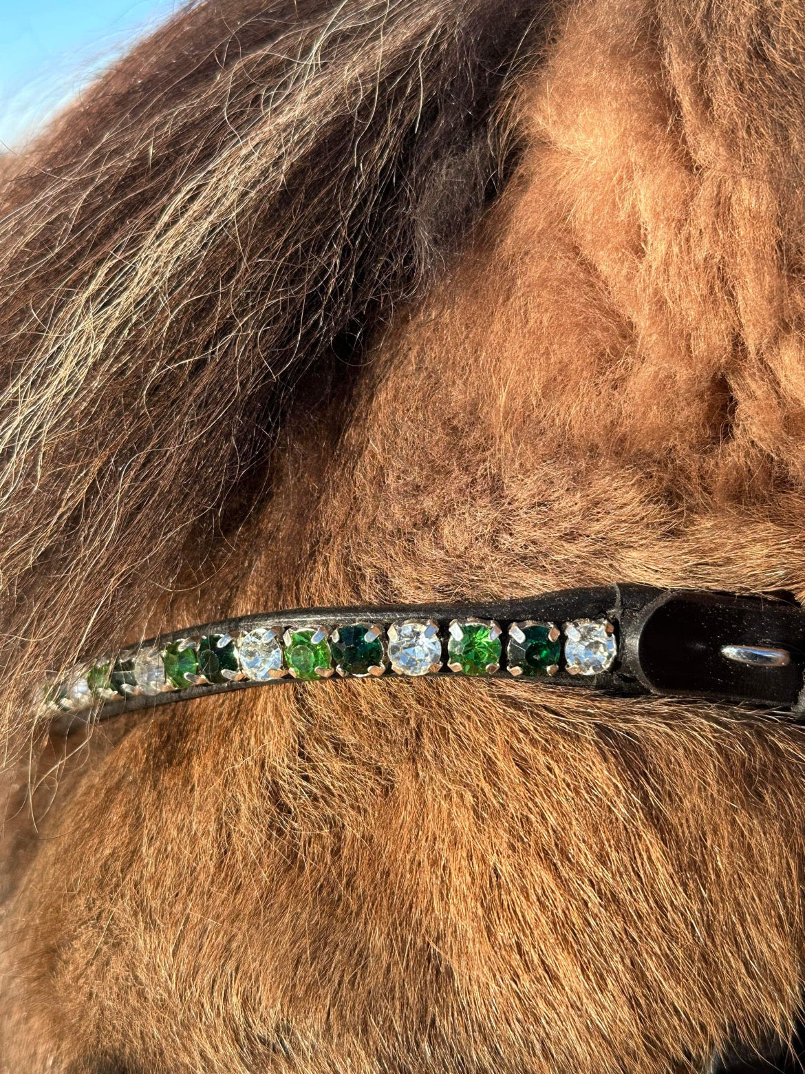 PH deluxe pandebånd “DIAMOND fine” green - Aríus Icehorse Line