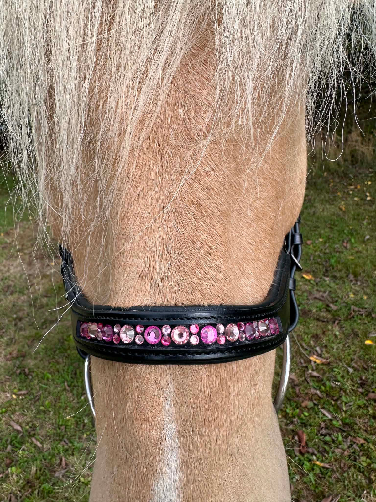 PH deluxe næserem engelsk anatomic moonstone pink