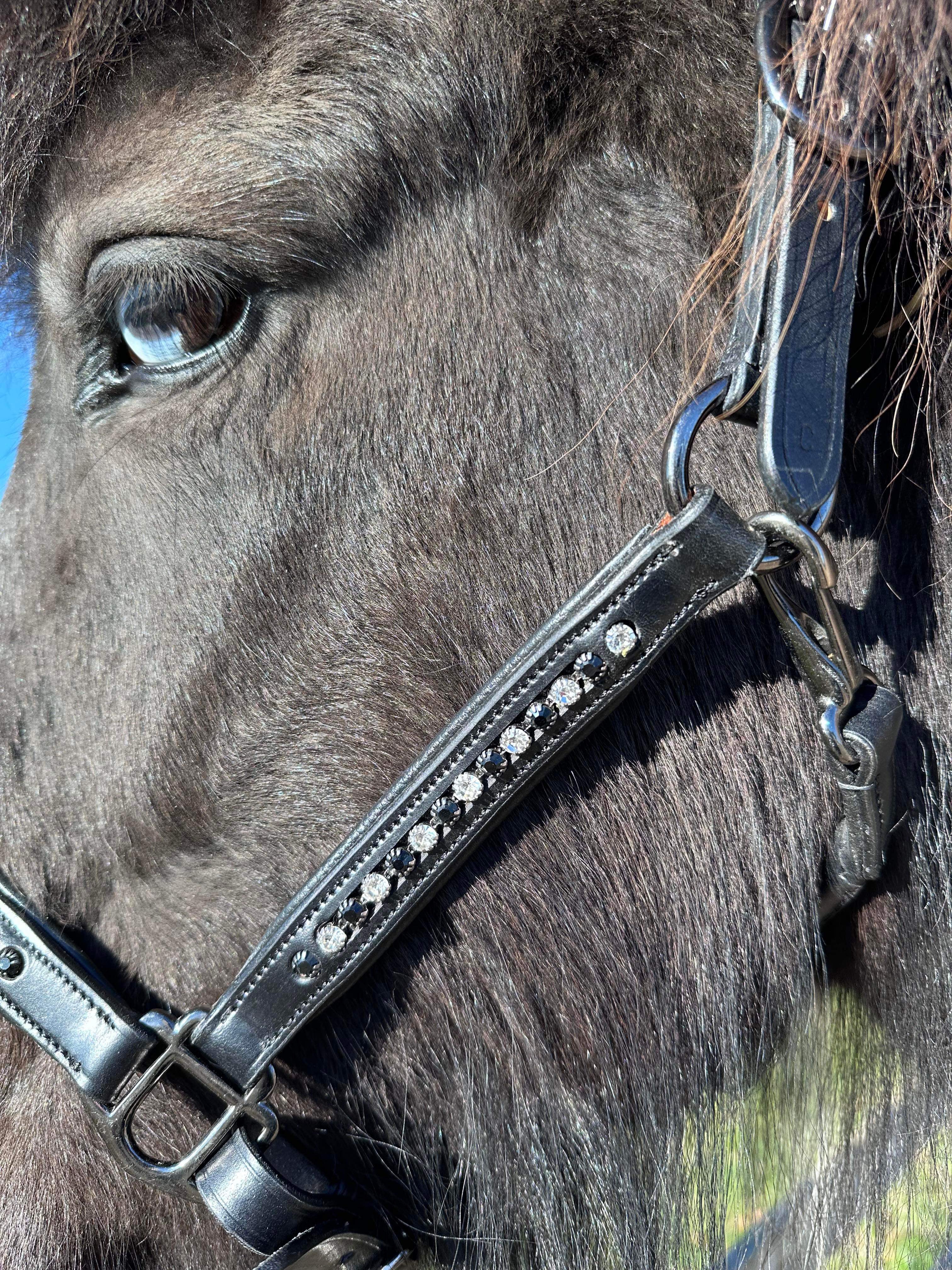 PH grime DIAMOND Black&white - Aríus Icehorse Line