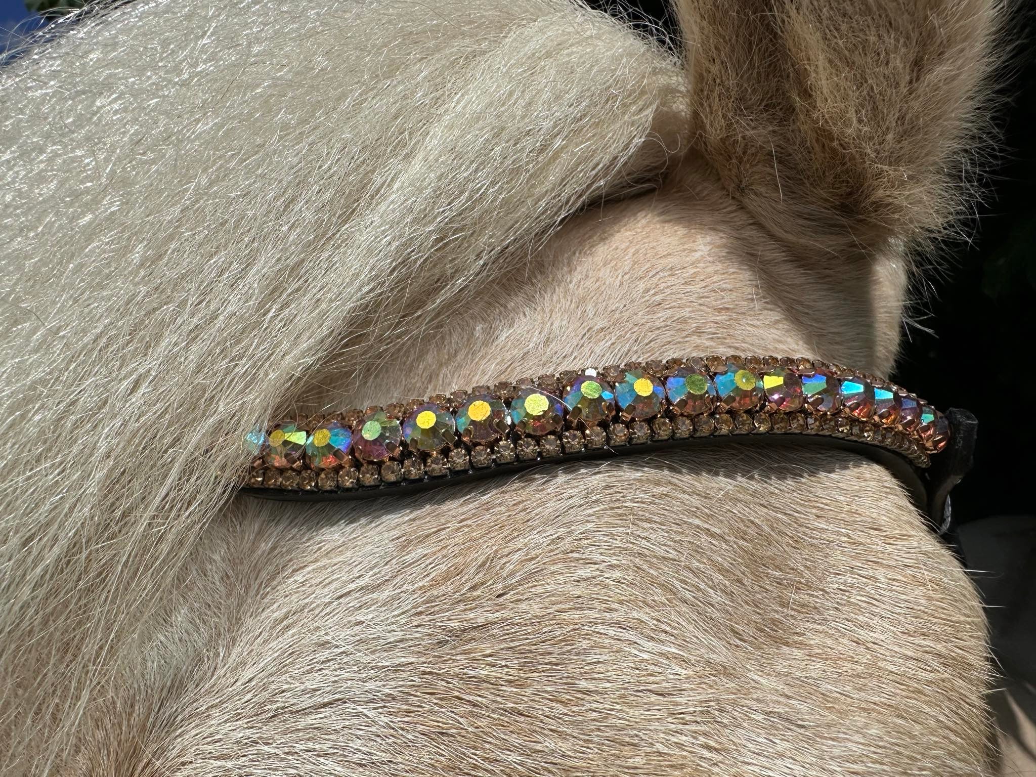 PH deluxe pandebånd diamond 3 rows golden rainbow - Aríus Icehorse Line