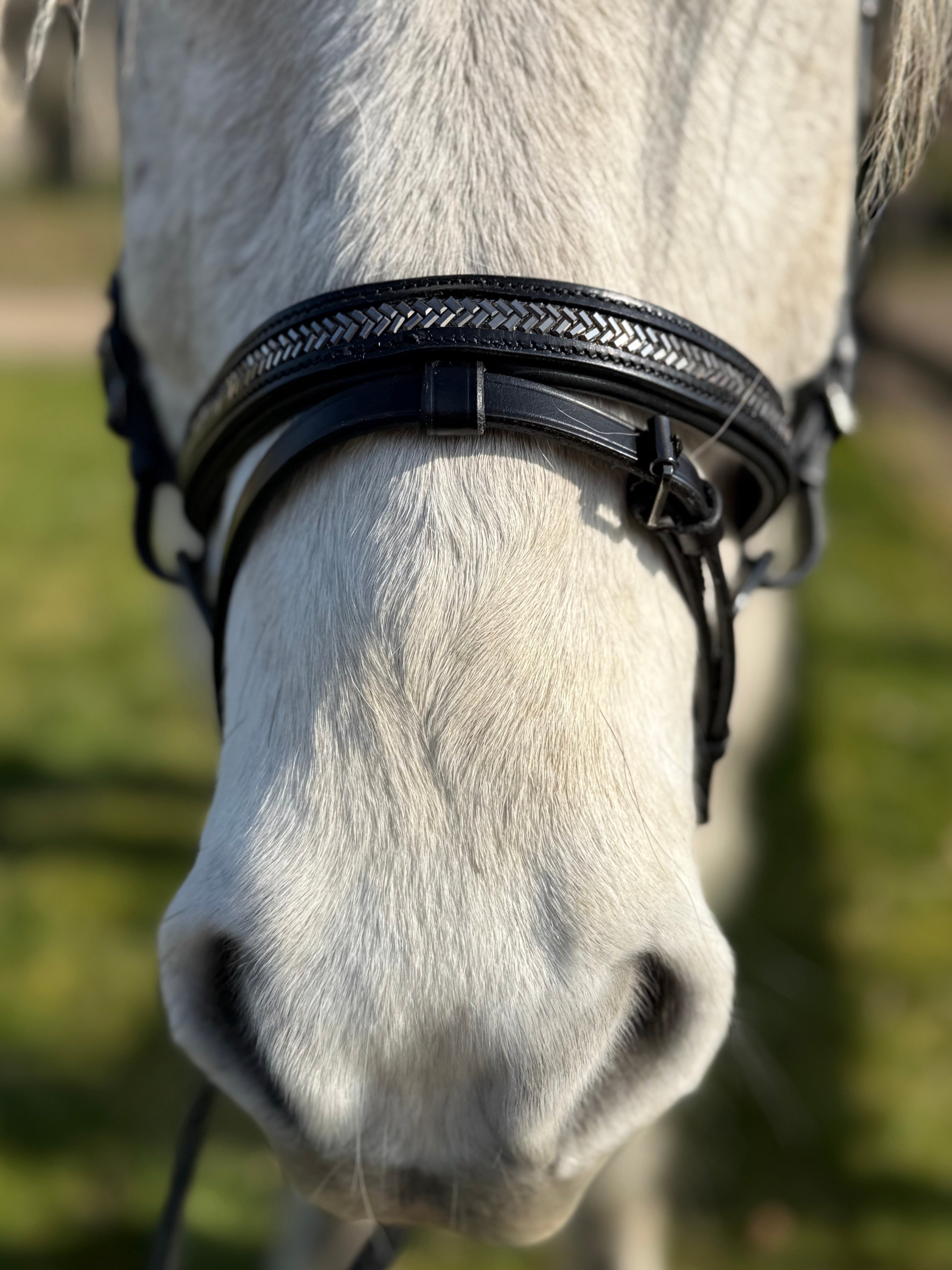 PH deluxe kombineret næserem arrow dark grey - Aríus Icehorse Line
