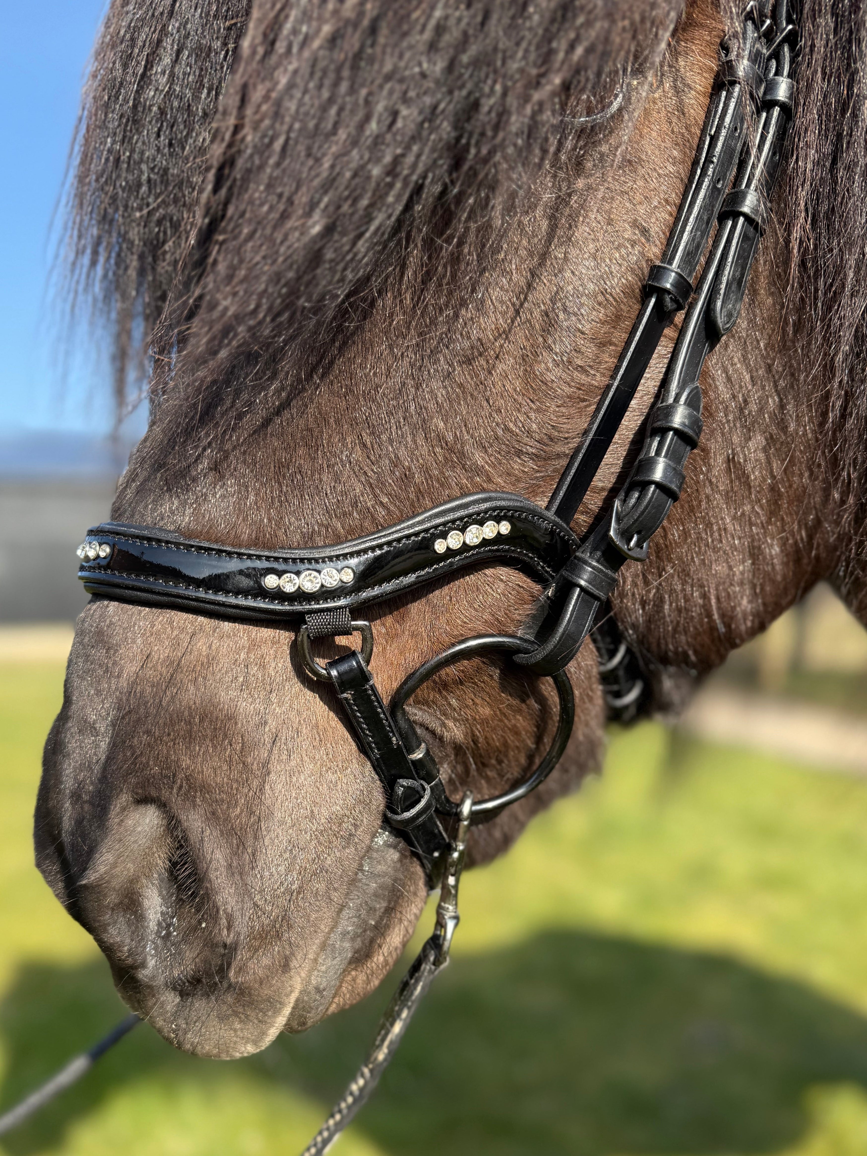PH deluxe næsebånd "Anatomic" buckle 5 diamonds shine - Aríus Icehorse Line