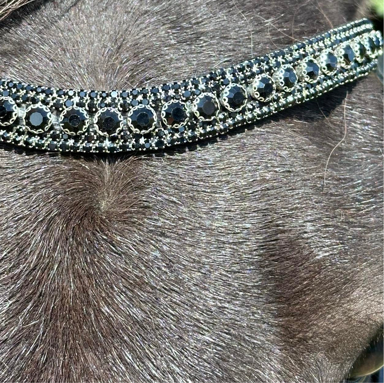 PH deluxe pandebĂ„nd brilliant Black - ArĂus Icehorse Line