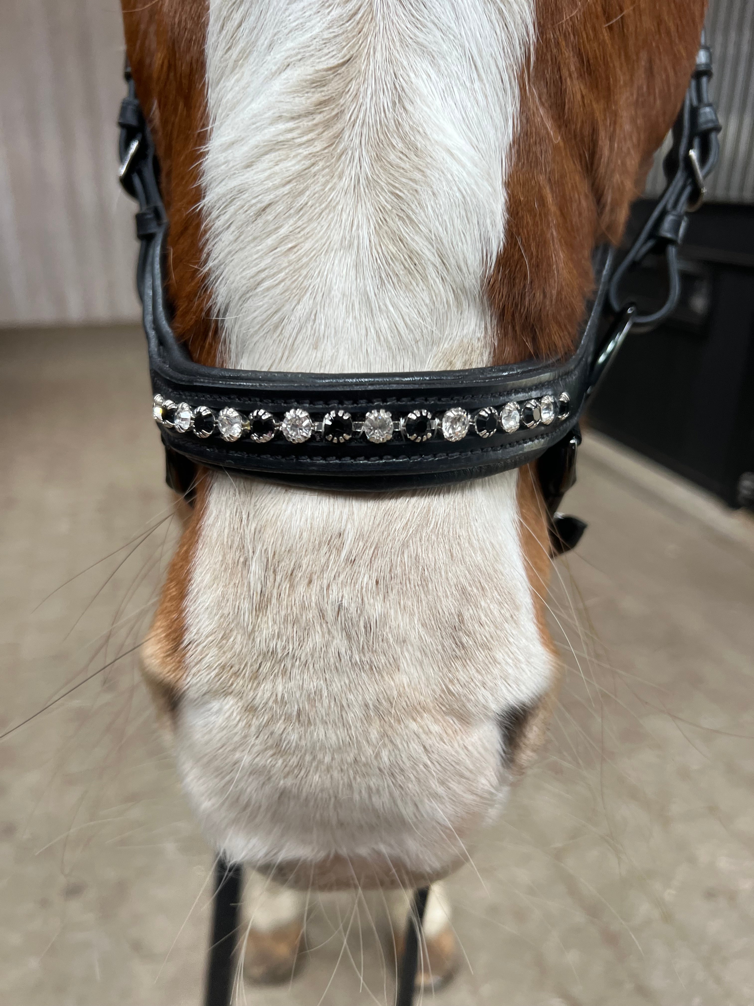 PH deluxe næsebånd "Anatomic" buckle diamond black&white - Aríus Icehorse Line