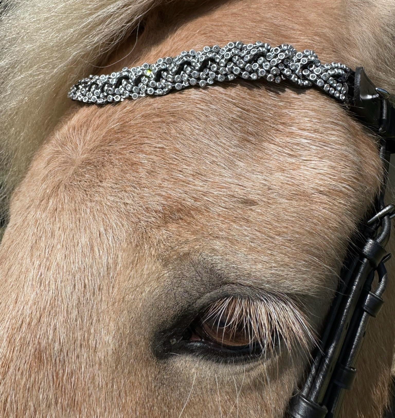 PH deluxe pandebånd diamond braid white - Aríus Icehorse Line