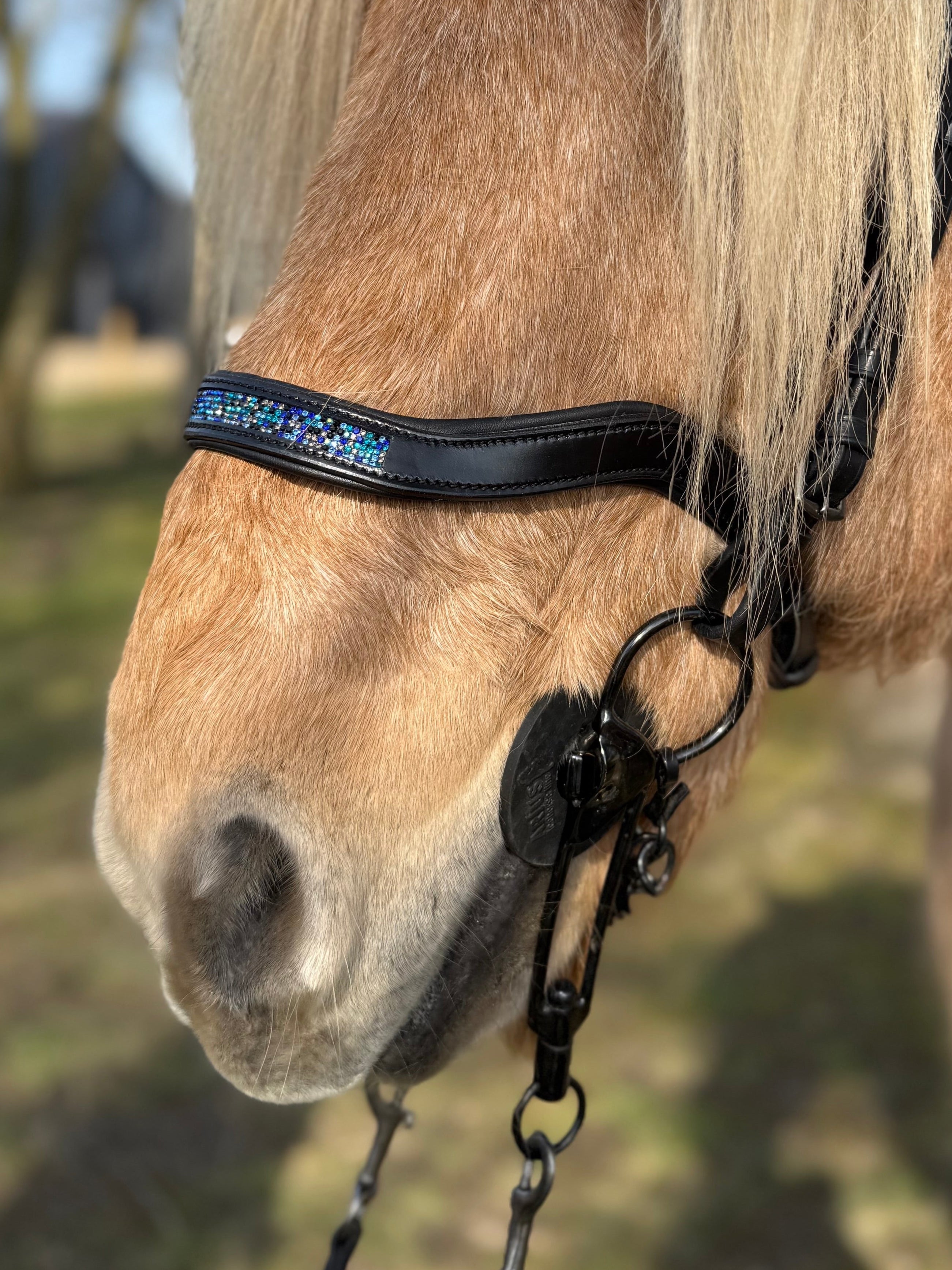 PH deluxe næserem engelsk anatomic blue magic - Aríus Icehorse Line