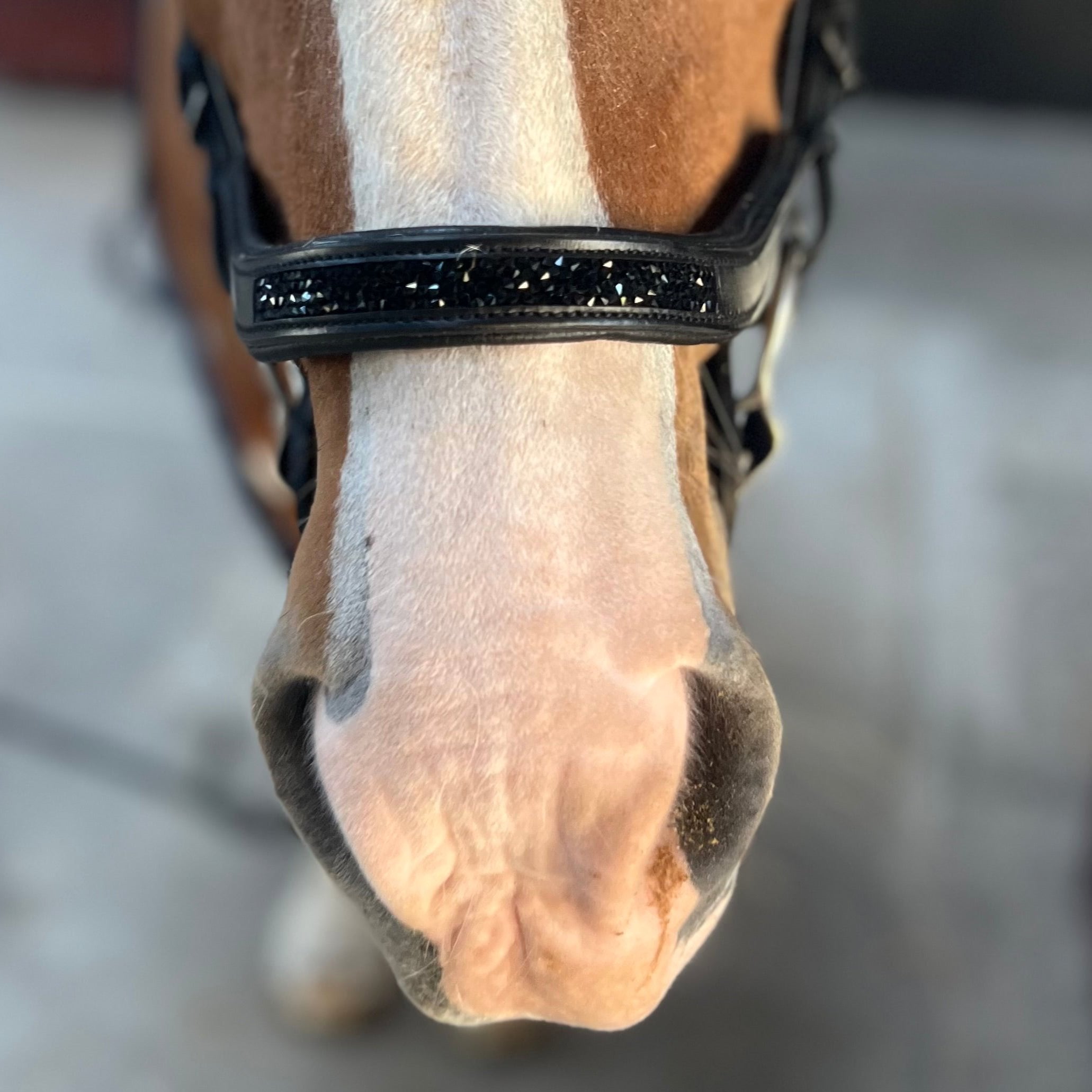 PH deluxe næserem engelsk anatomic rockcrystal black - Aríus Icehorse Line