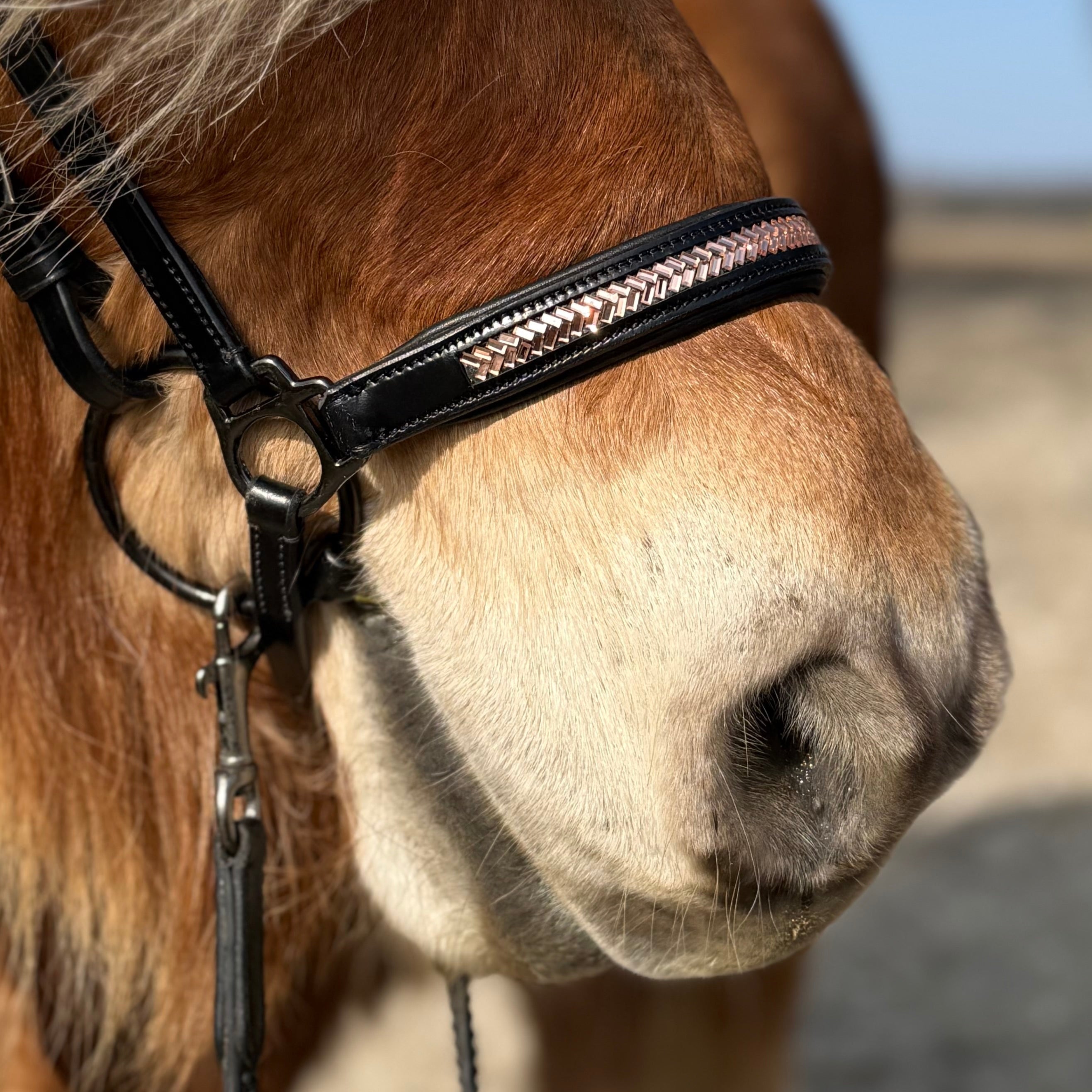 PH deluxe hannoveransk næserem arrow rosegold - Aríus Icehorse Line