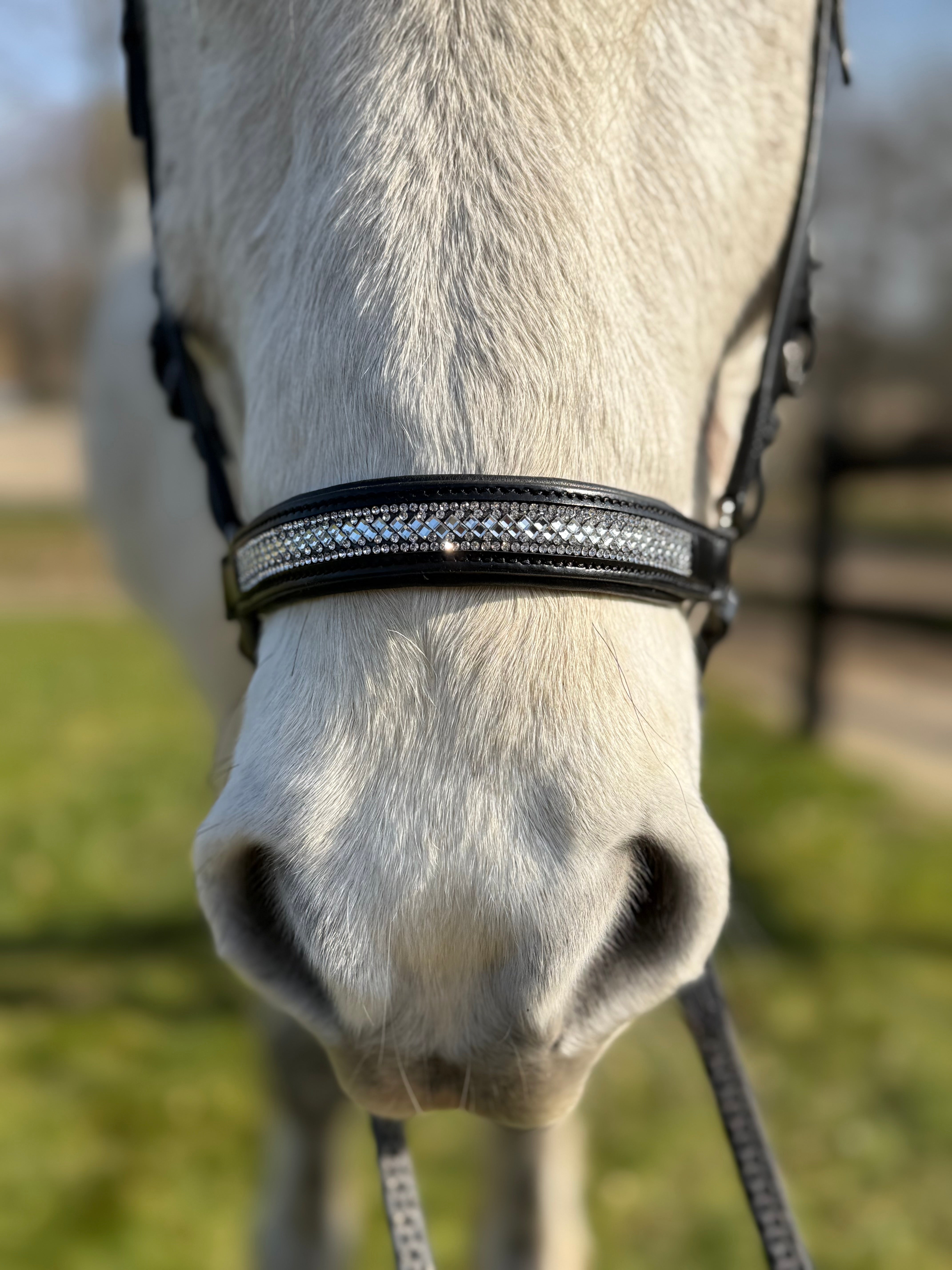 PH deluxe hannoveransk næsebånd diamond glitter - Aríus Icehorse Line