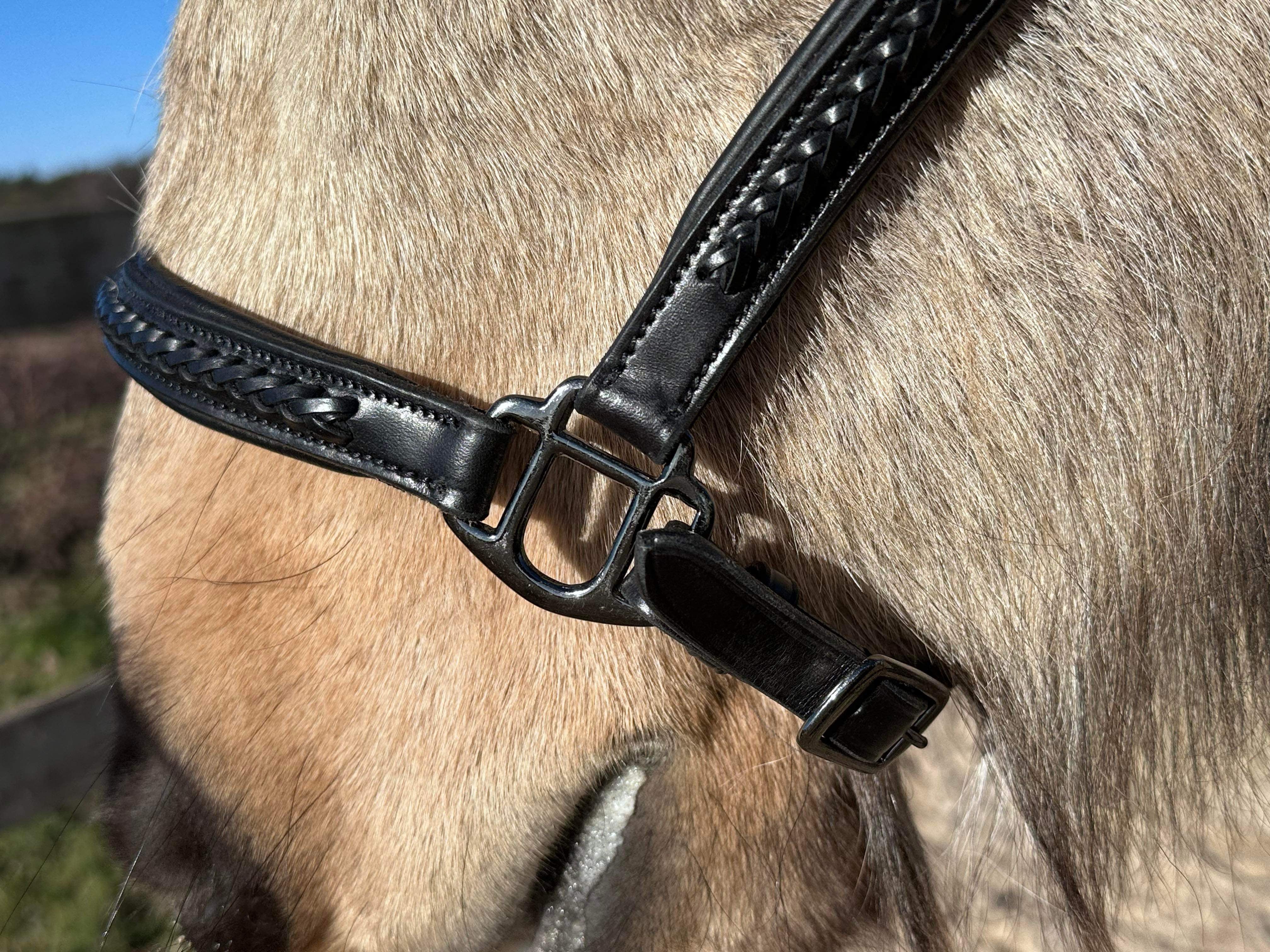 PH grime braid exclusive black - Aríus Icehorse Line