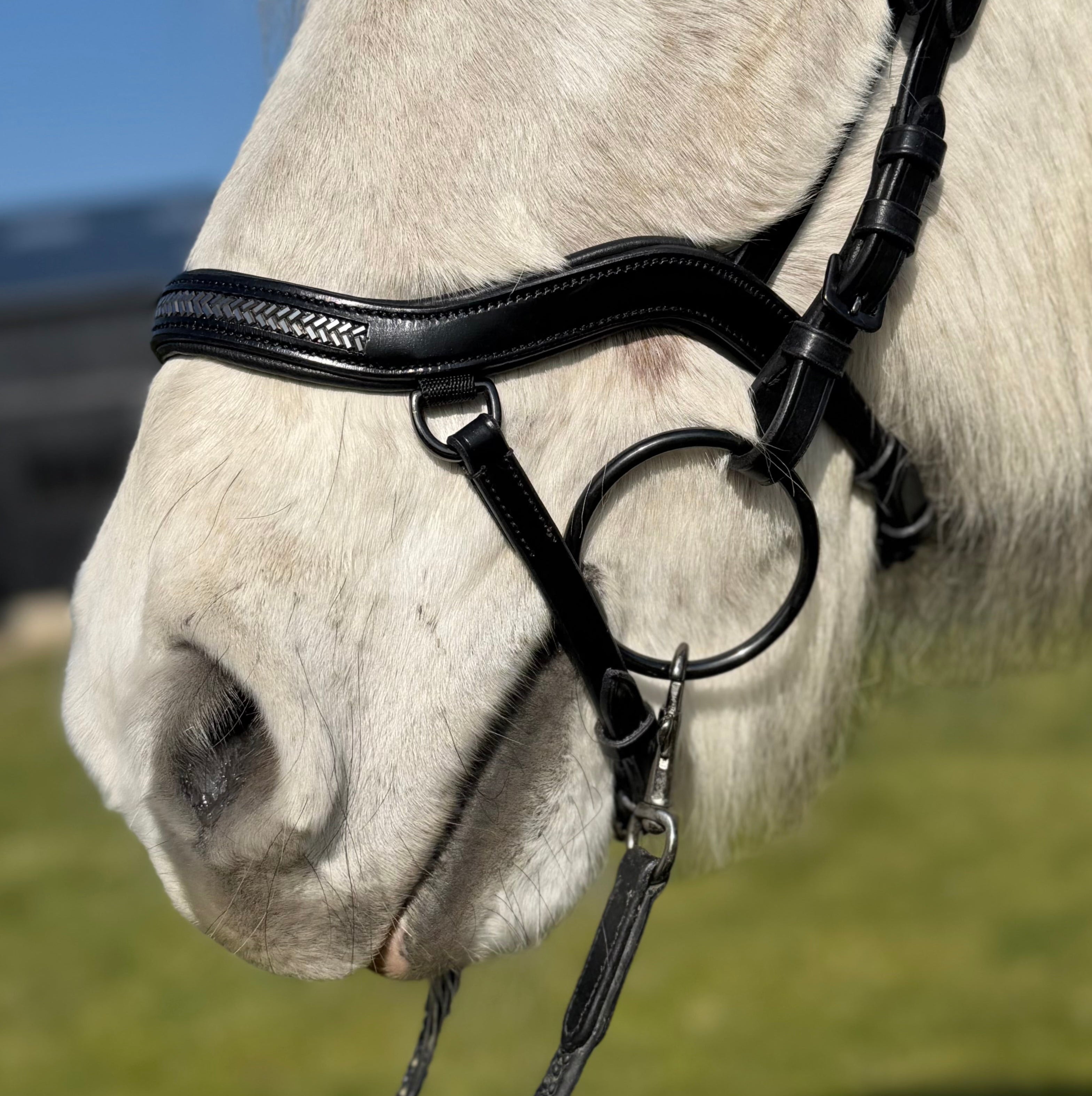 PH deluxe næsebånd "Anatomic" buckle arrow dark grey - Aríus Icehorse Line