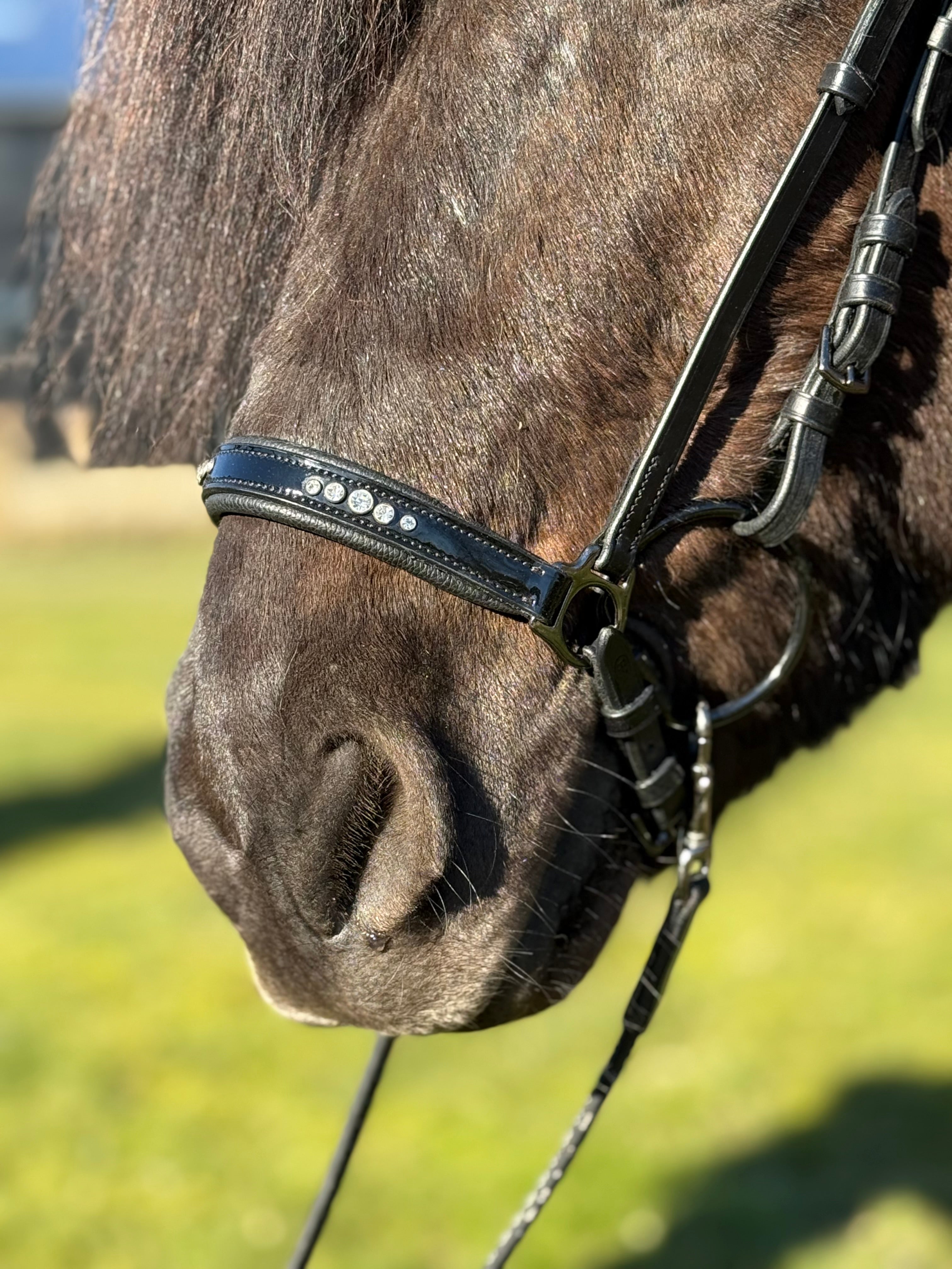 PH deluxe hannoveransk næsebånd “5 DIAMONDs” shine - Aríus Icehorse Line