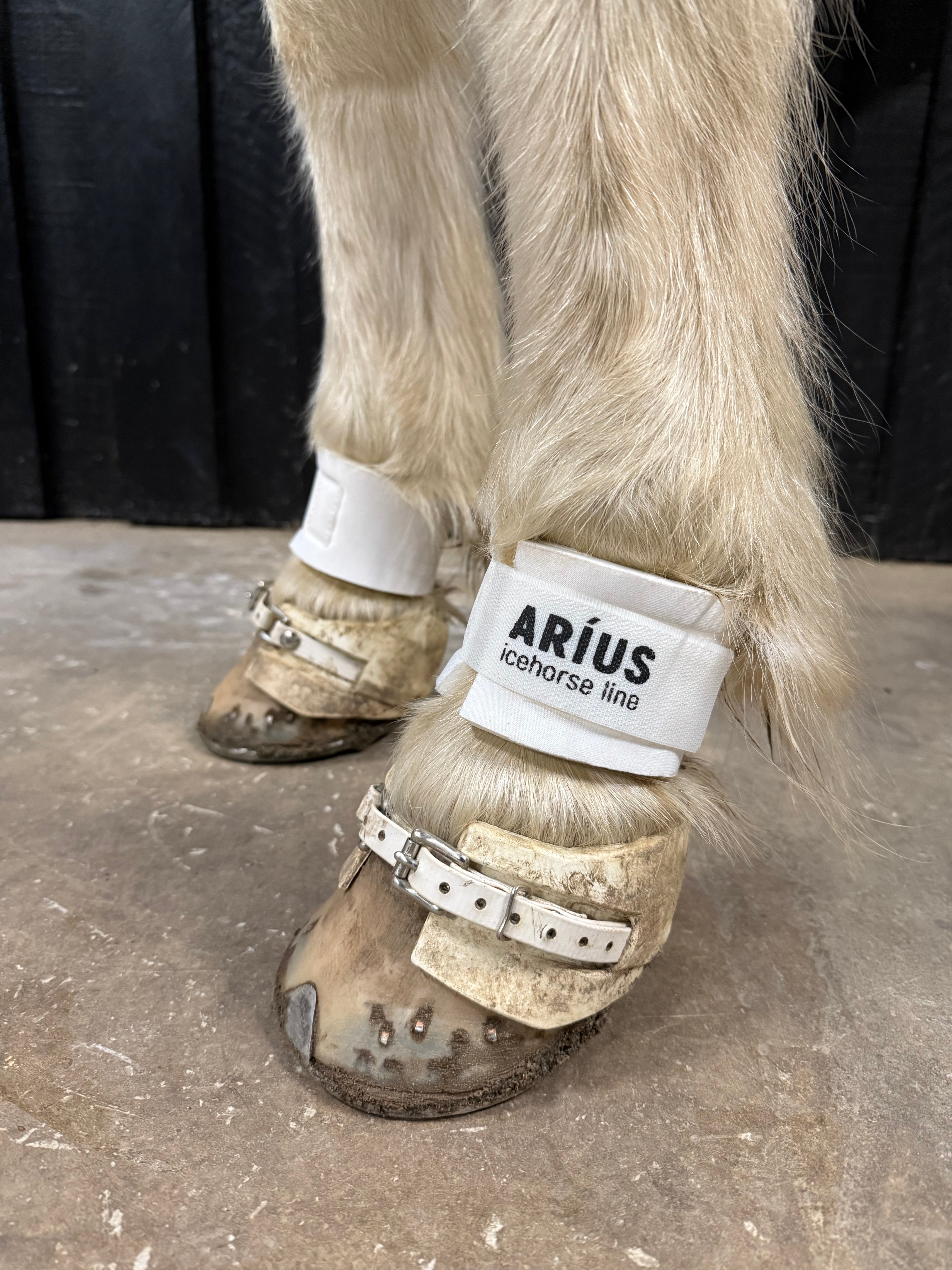 Aríus kodeledsbeskyttere sorte eller hvide - Aríus Icehorse Line