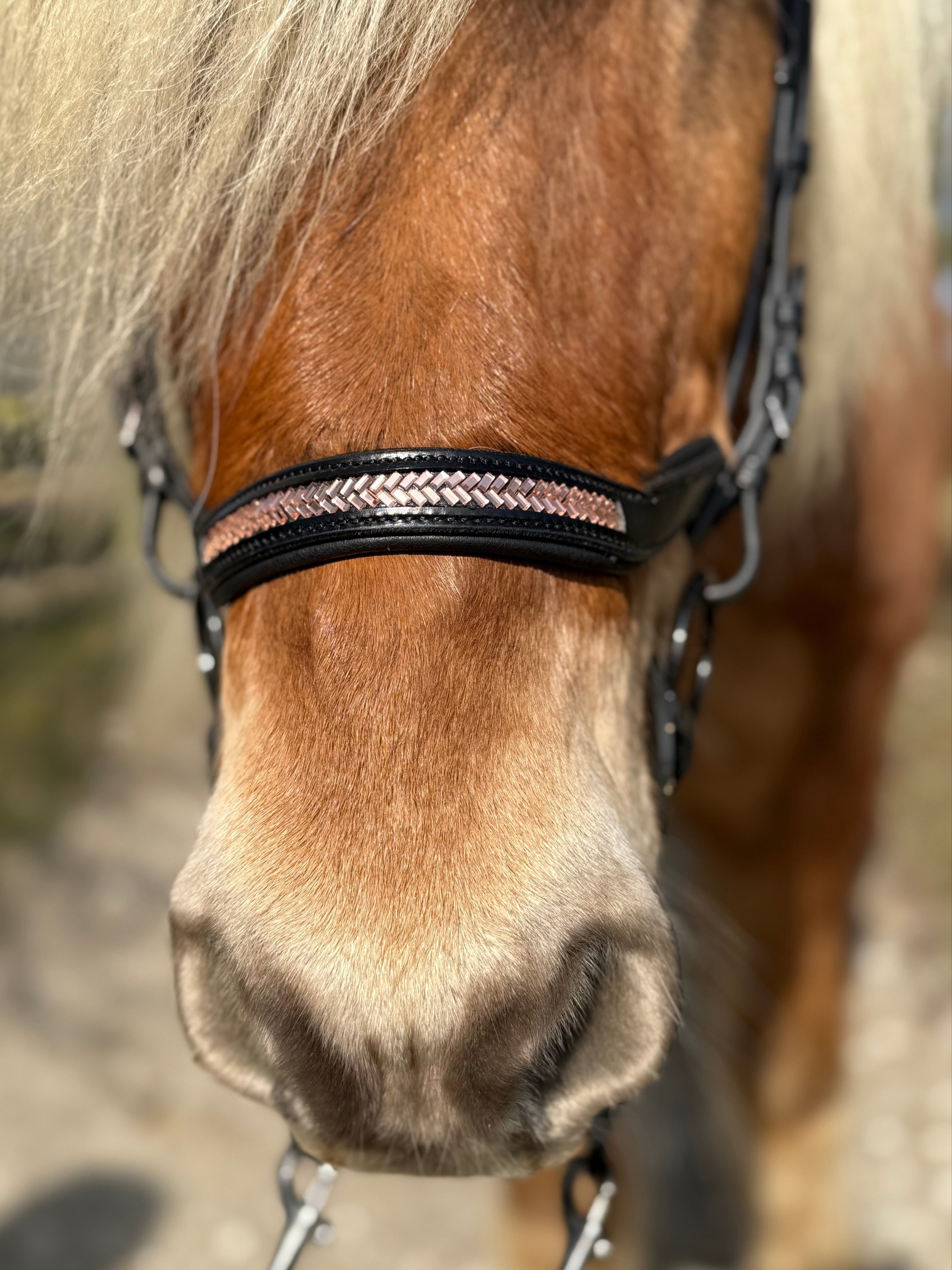 PH deluxe næserem engelsk anatomic arrow rosegold - Aríus Icehorse Line