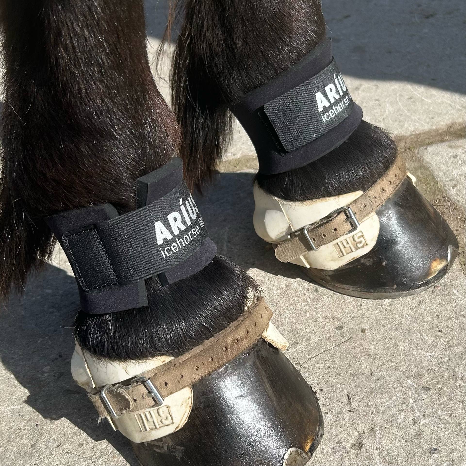 Aríus kodeledsbeskyttere sorte eller hvide - Aríus Icehorse Line