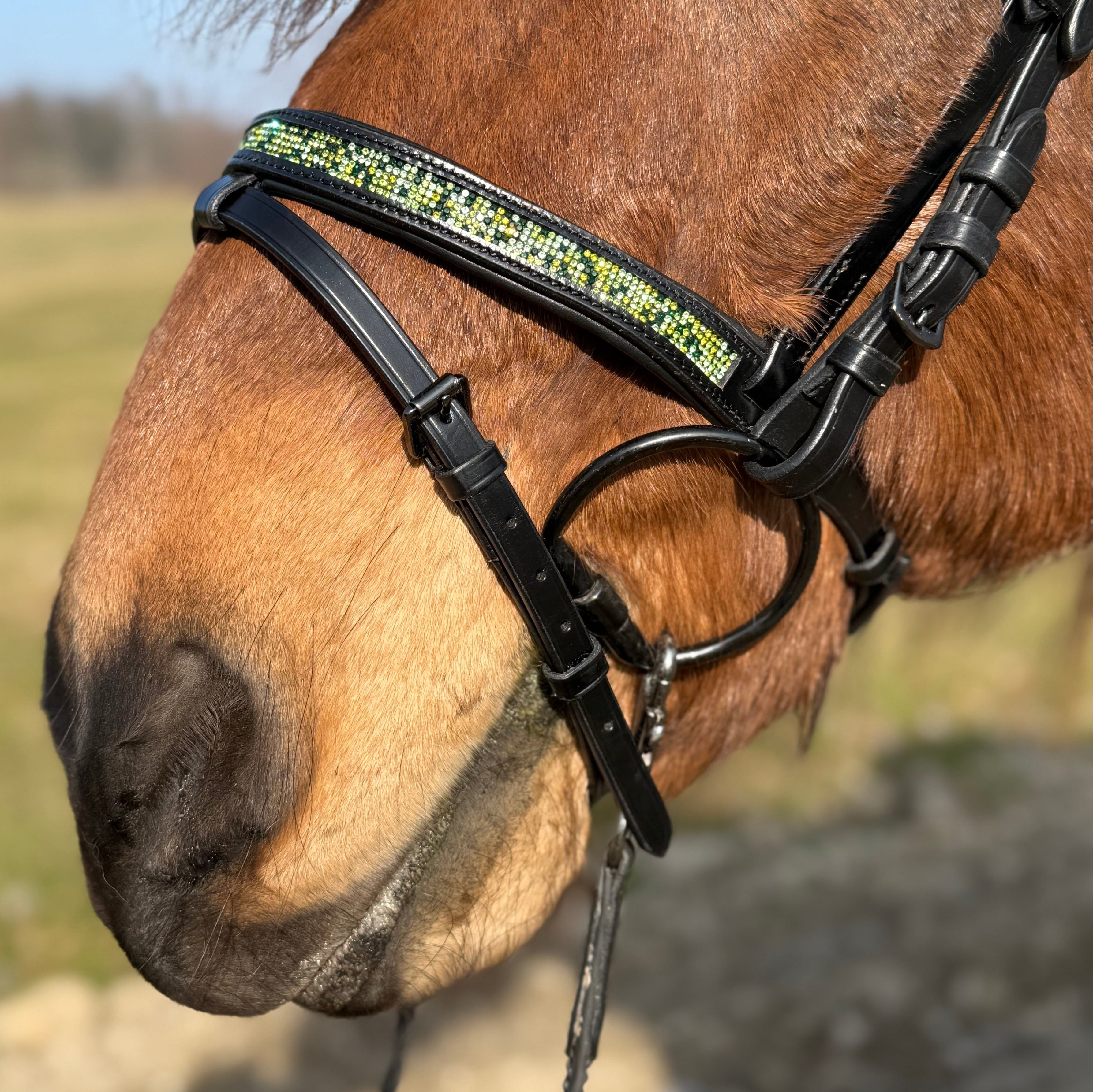 PH deluxe kombineret næserem green magic - Aríus Icehorse Line