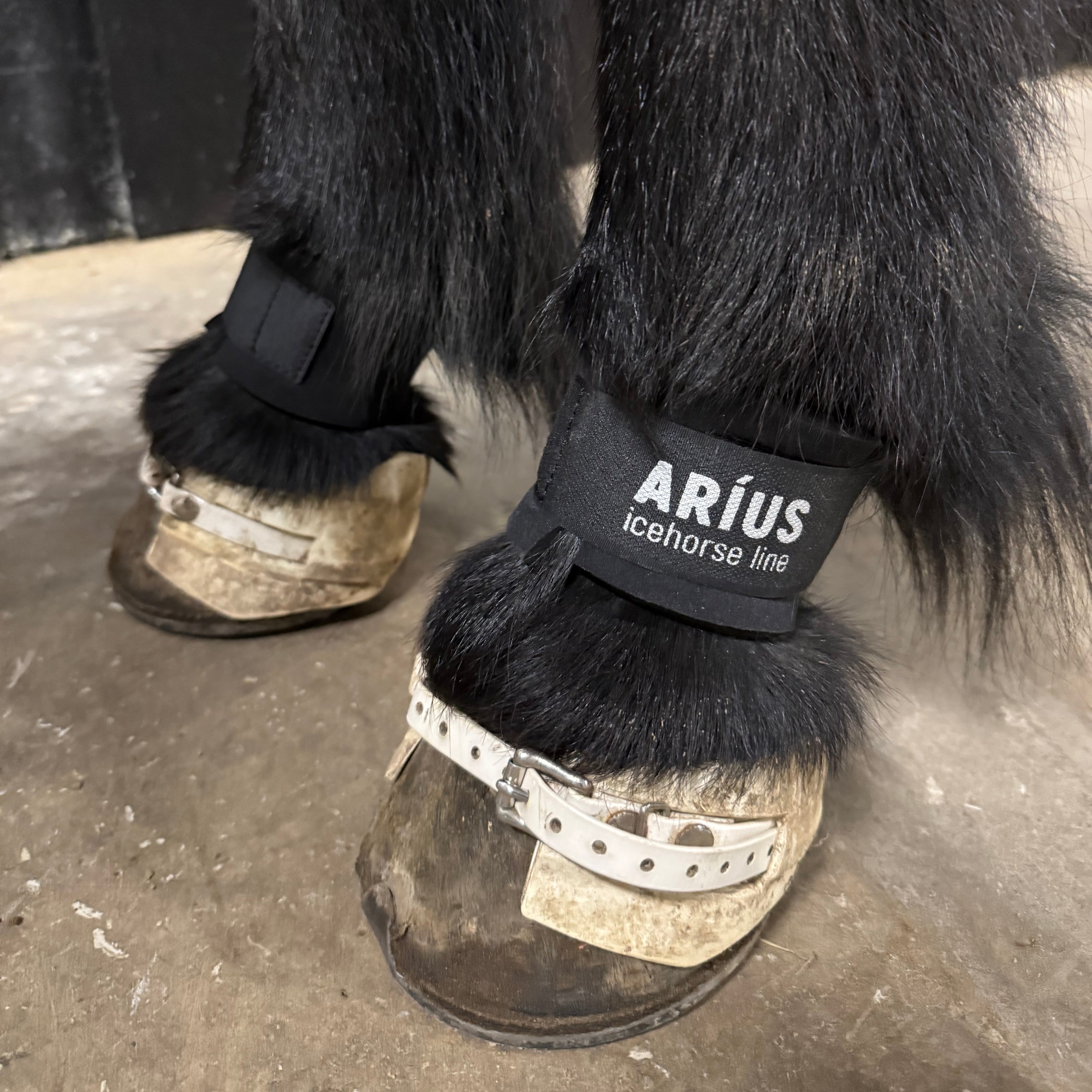Aríus kodeledsbeskyttere sorte eller hvide - Aríus Icehorse Line