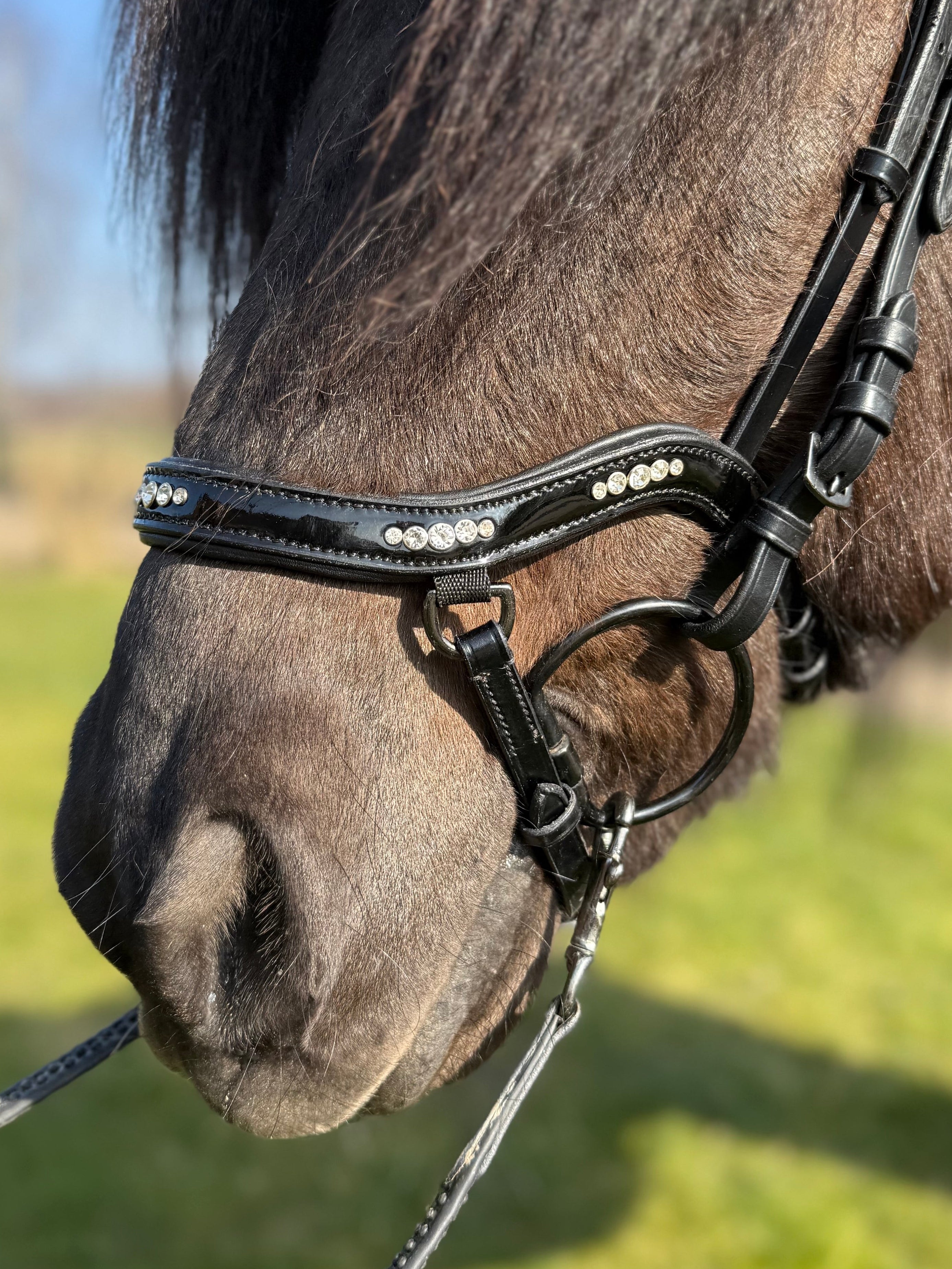 PH deluxe næsebånd "Anatomic" buckle 5 diamonds shine - Aríus Icehorse Line