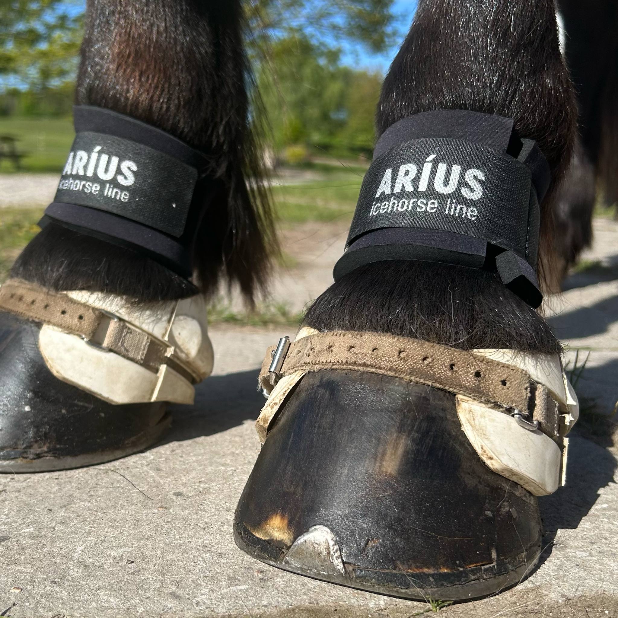 Aríus kodeledsbeskyttere sorte eller hvide - Aríus Icehorse Line