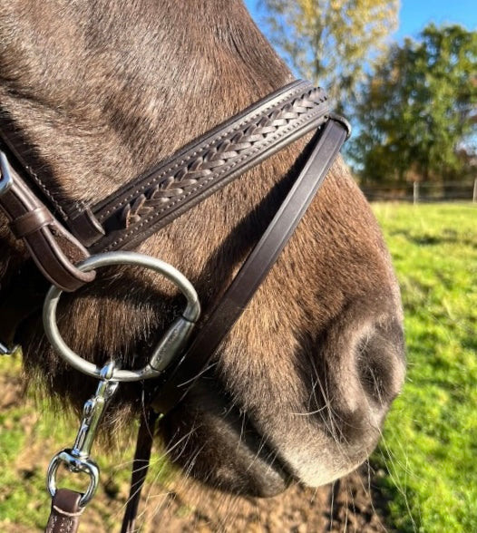 PH deluxe kombineret næserem braid exclusive - brown - Aríus Icehorse Line