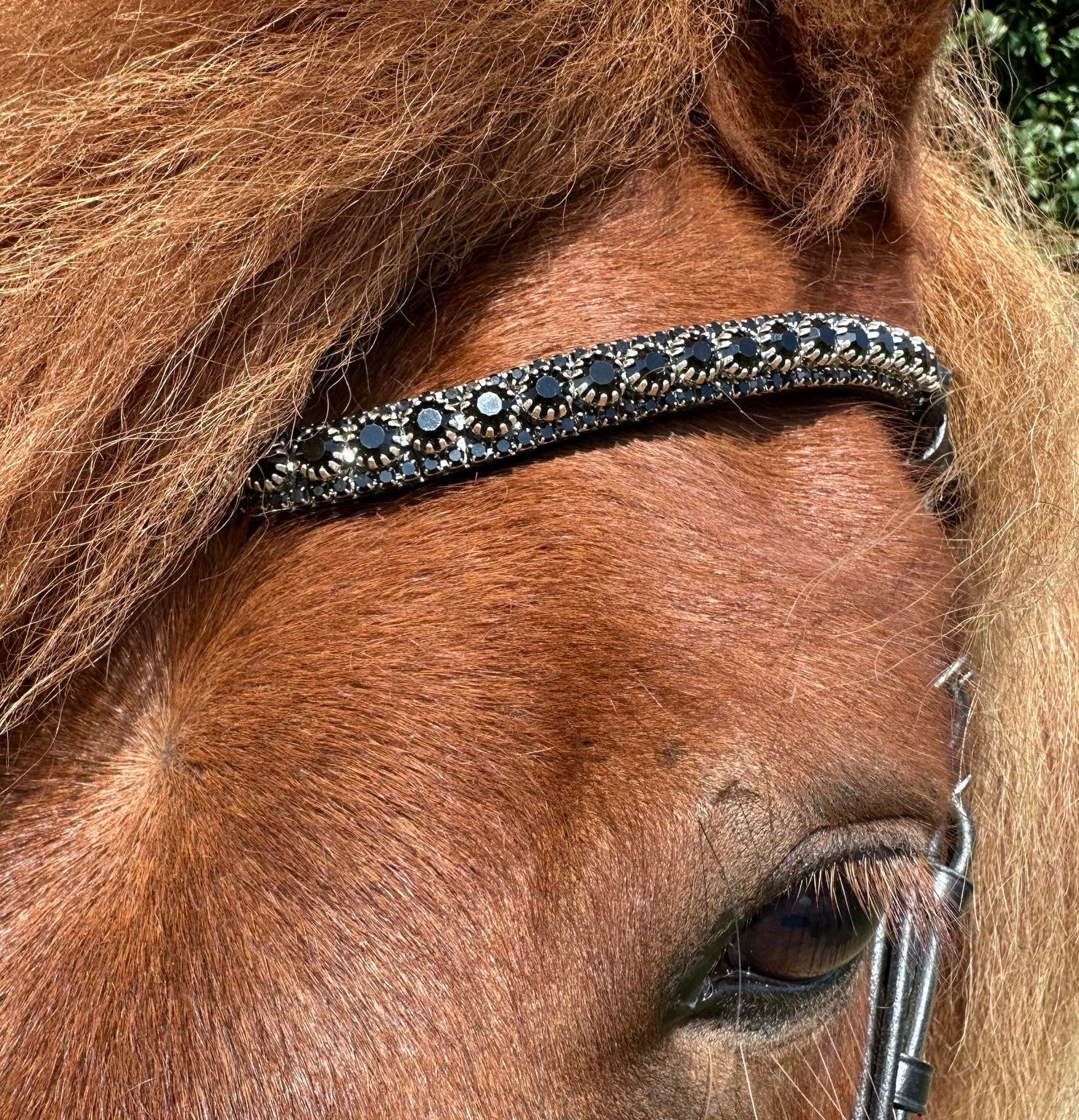 PH deluxe pandebånd diamond 3 rows black - Aríus Icehorse Line