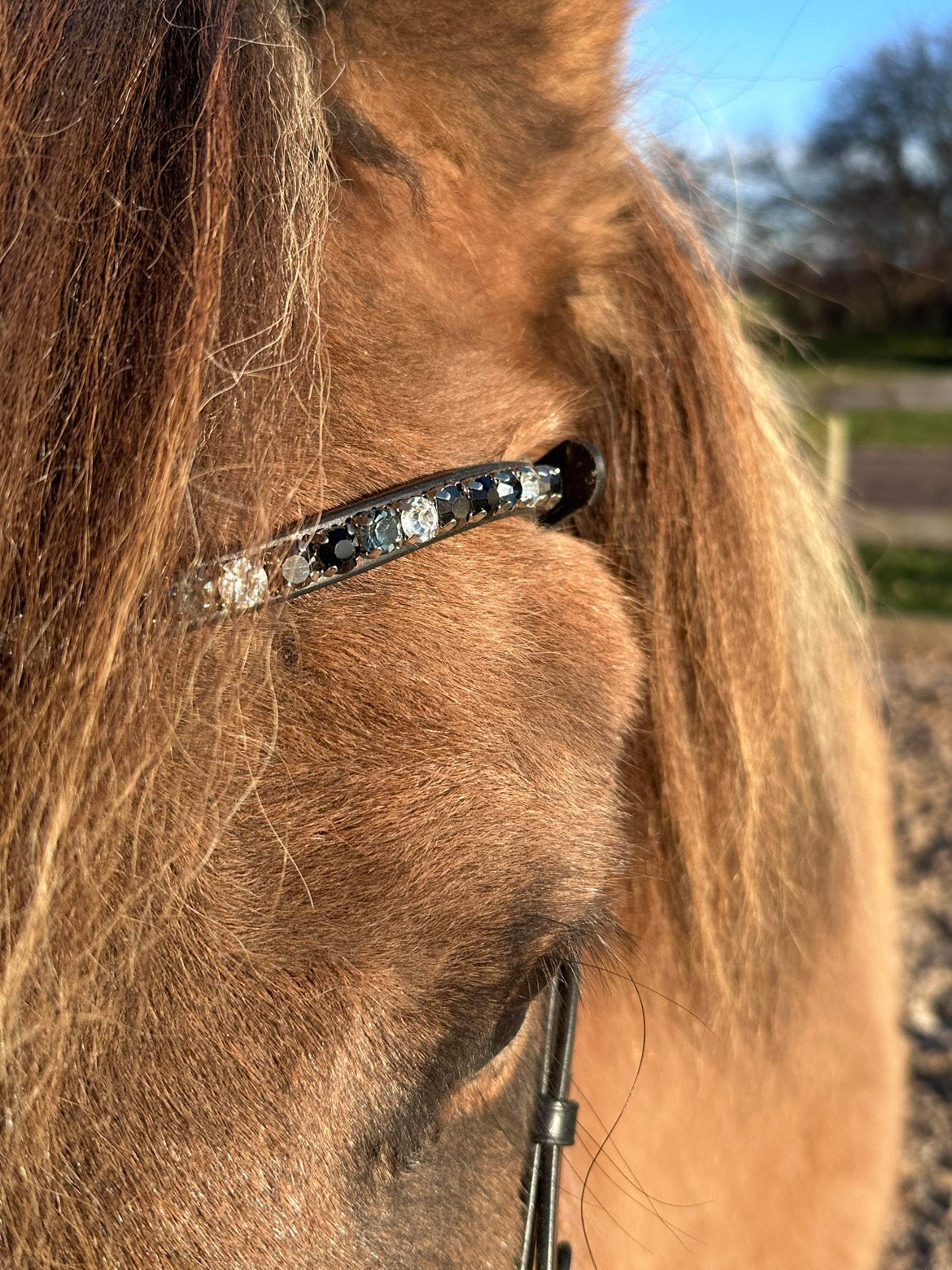 PH deluxe pandebånd “DIAMOND fine” grey - Aríus Icehorse Line