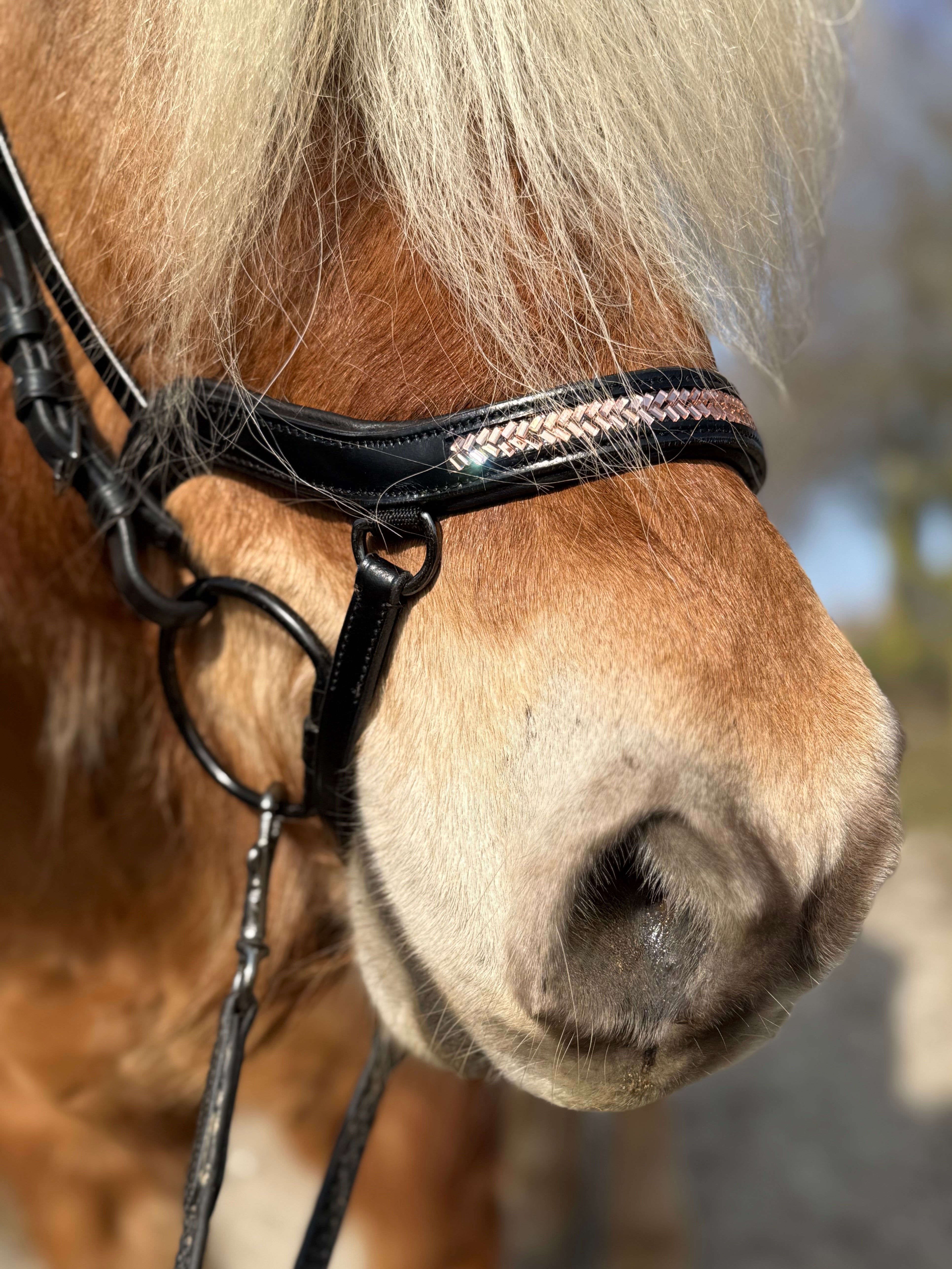 PH deluxe næsebånd "Anatomic" buckle arrow rosegold - Aríus Icehorse Line