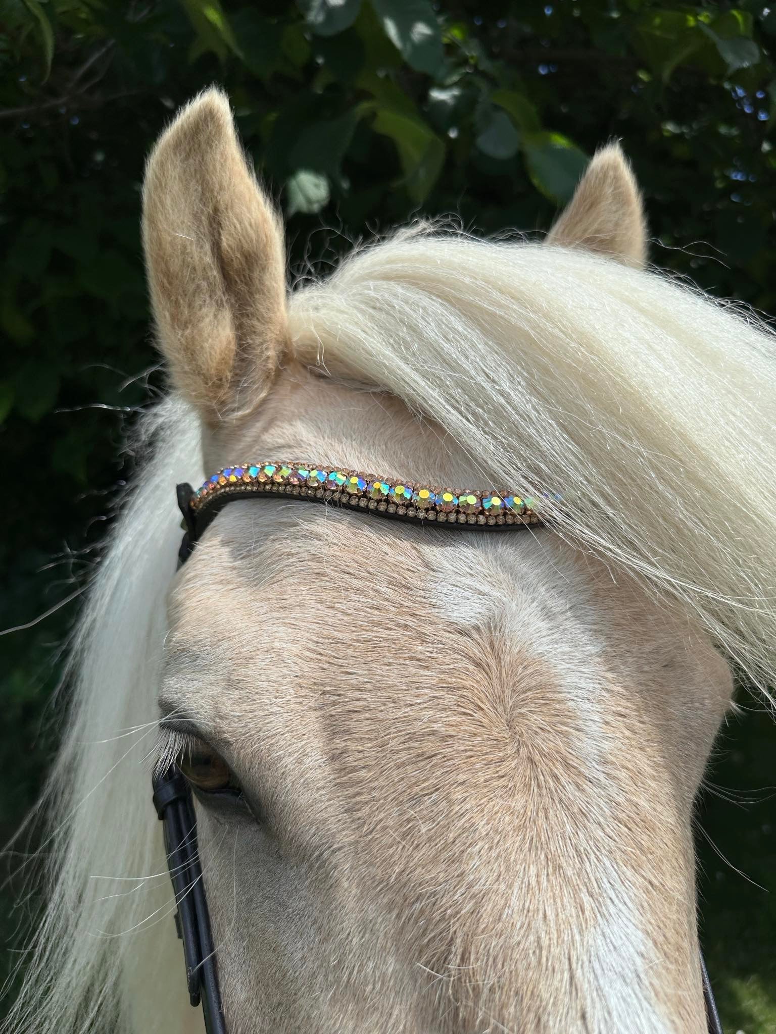 PH deluxe pandebånd diamond 3 rows golden rainbow - Aríus Icehorse Line