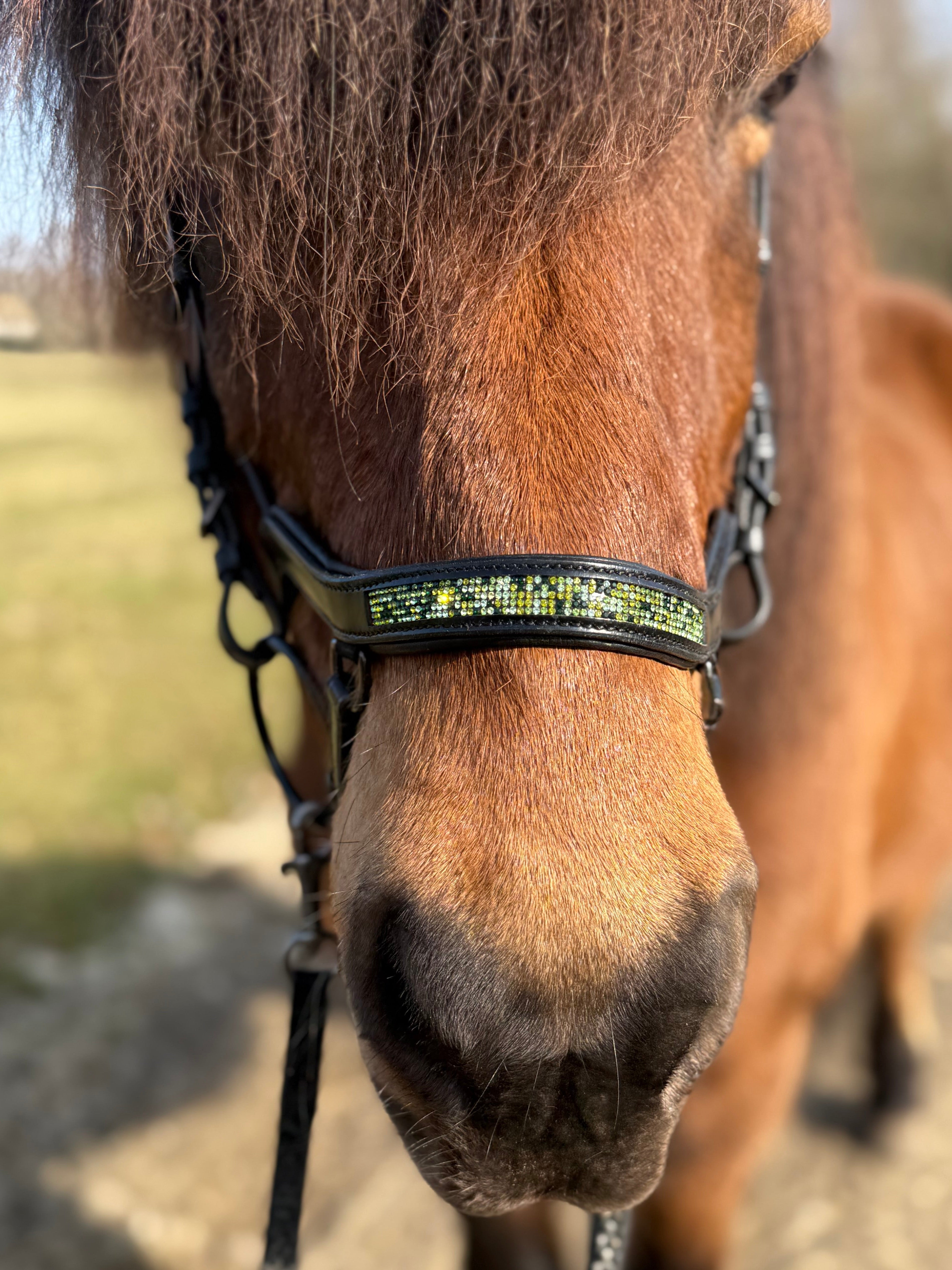 PH deluxe næsebånd "Anatomic" buckle green magic - Aríus Icehorse Line