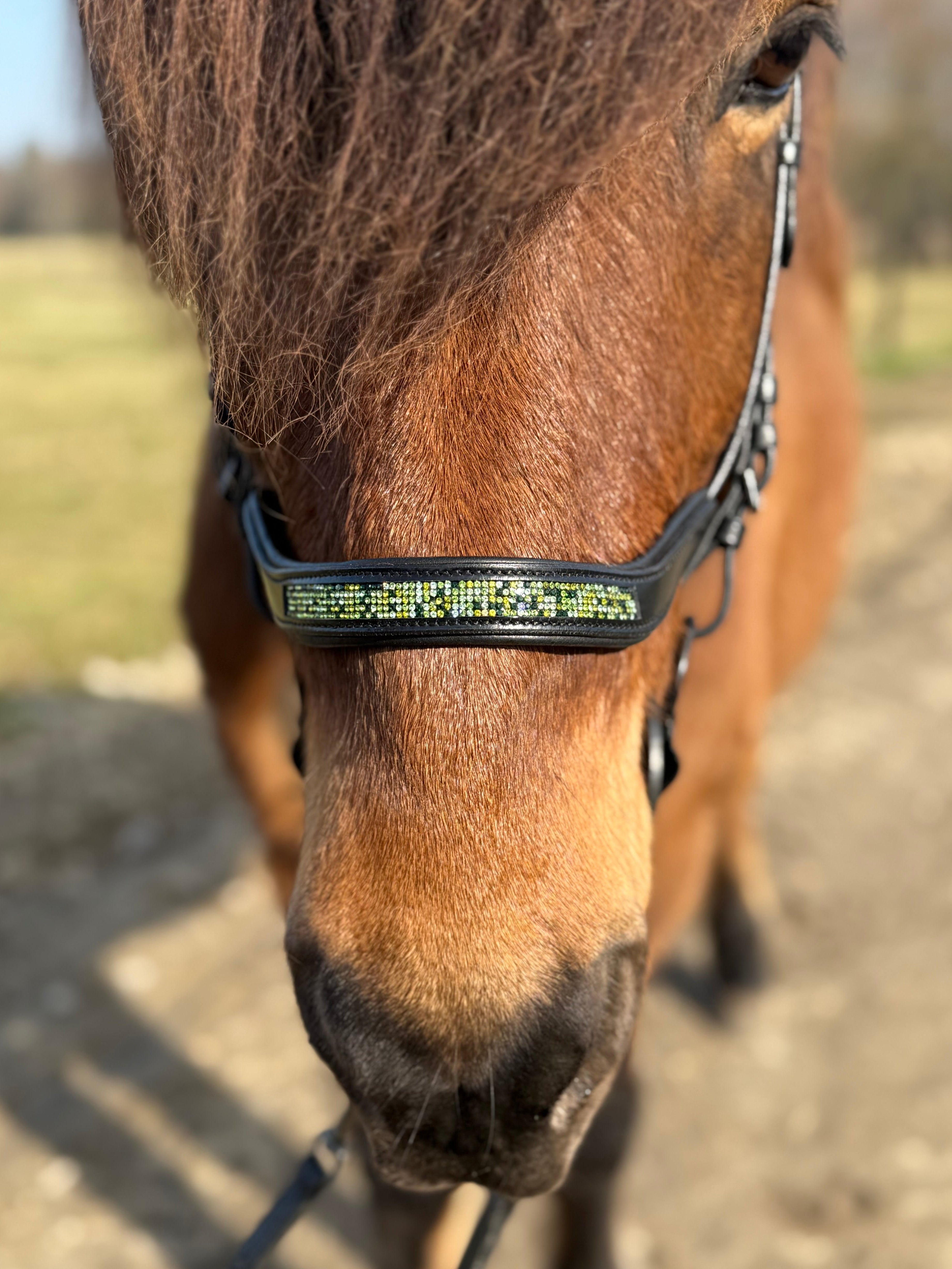 PH deluxe næserem engelsk anatomic green magic - Aríus Icehorse Line