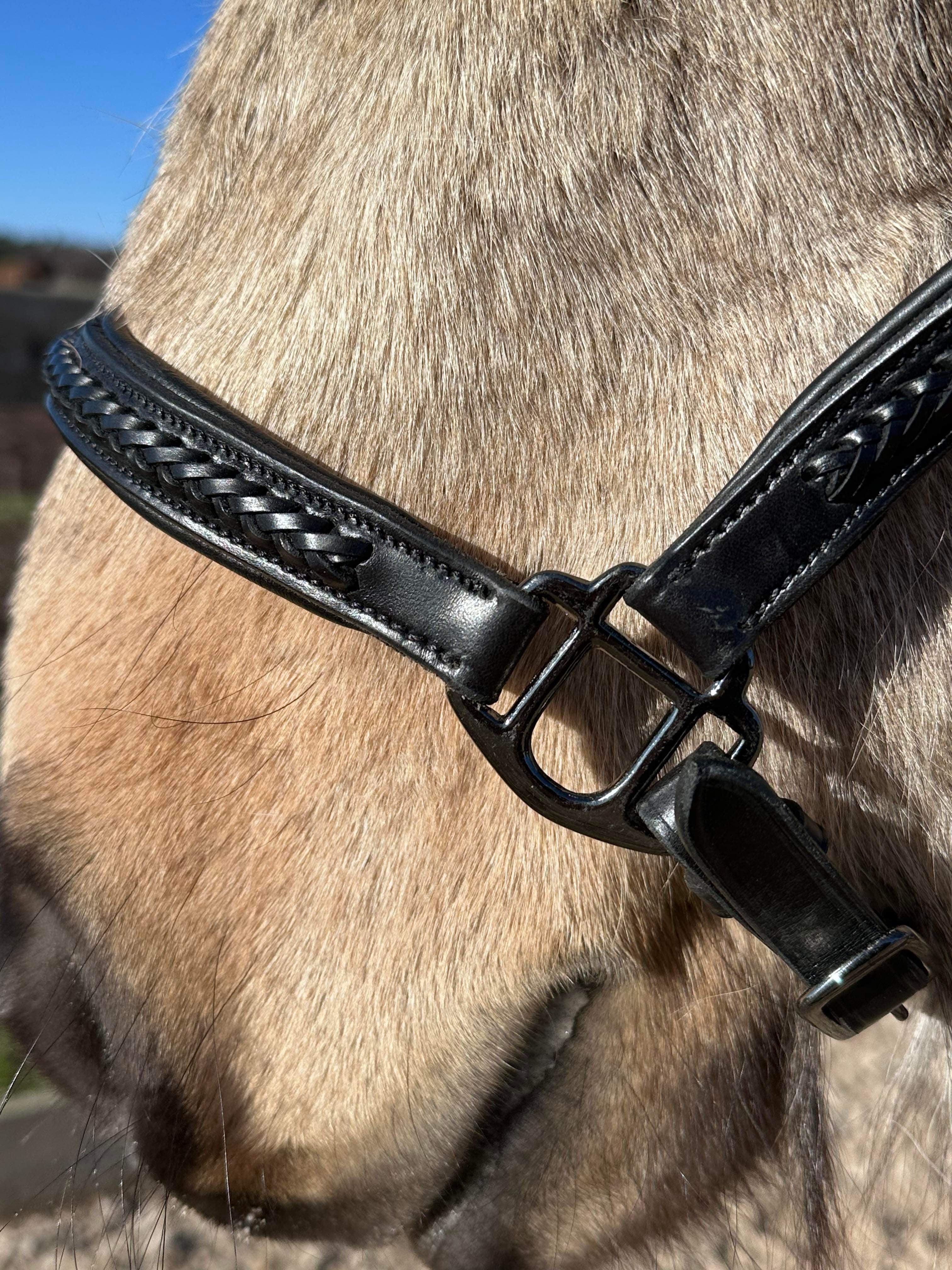 PH grime braid exclusive black - Aríus Icehorse Line